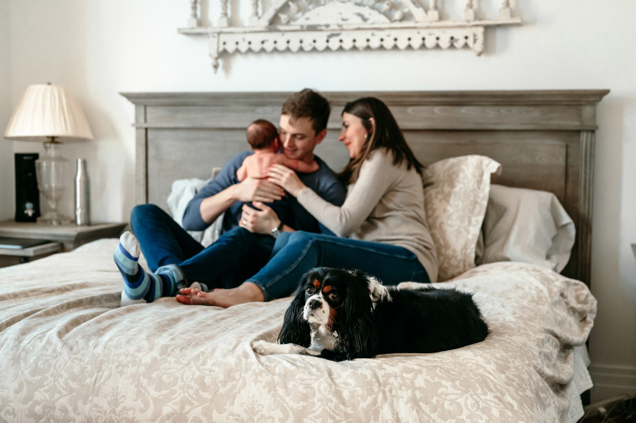 parents holding their baby boy on their bed with the pet dog in front of them looking at the camera during an in home newborn photography session