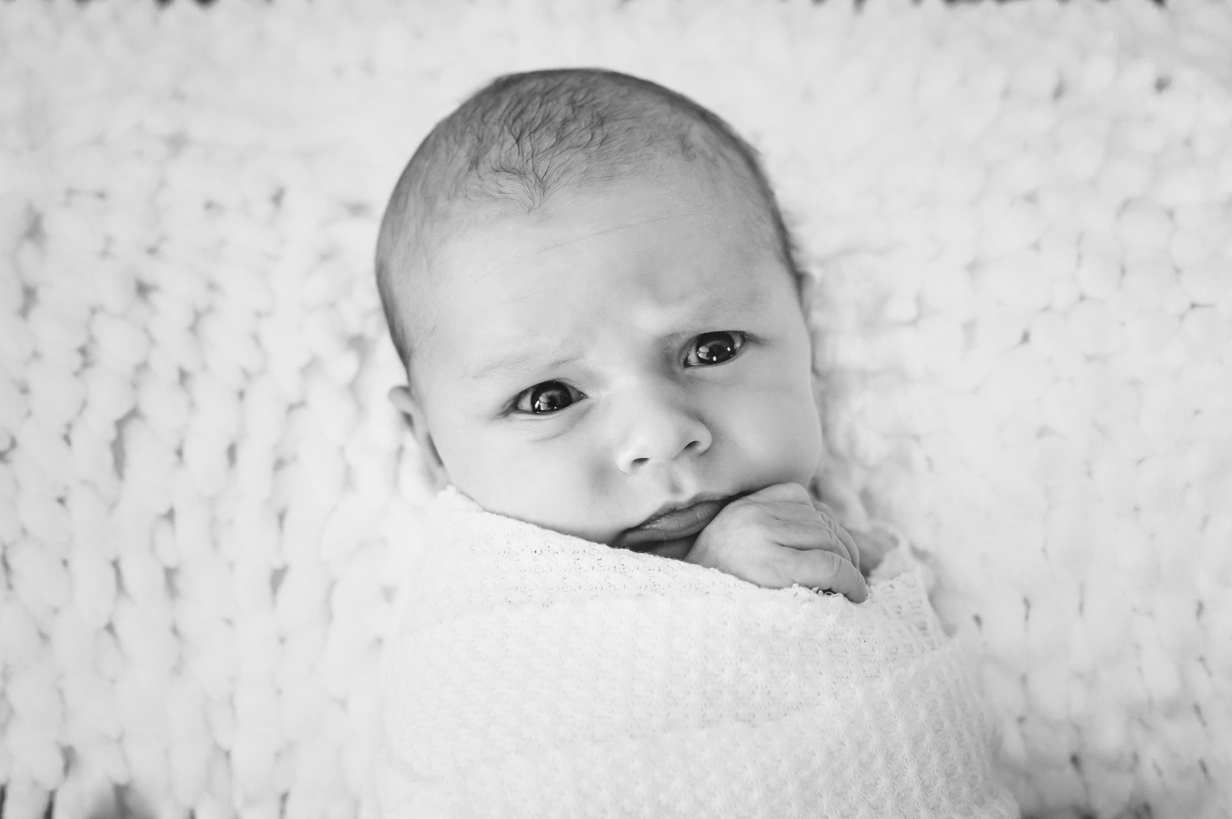 Black and white picture of a newborn boy swaddled in a white blanket gazing up toward the camera during a newborn photography session