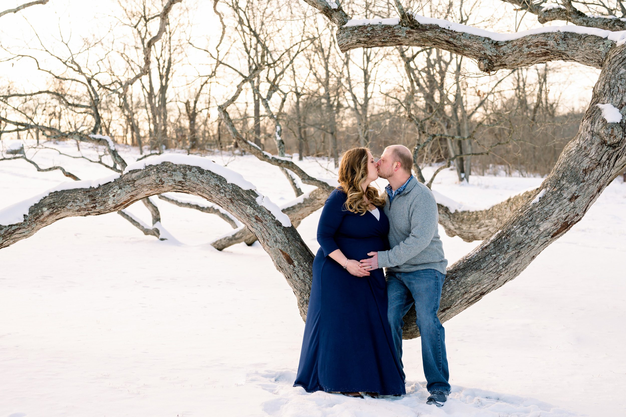 Expecting couple sitting on a huge curving tree branch and kissing just after a winter snowfall at a maternity photoshoot