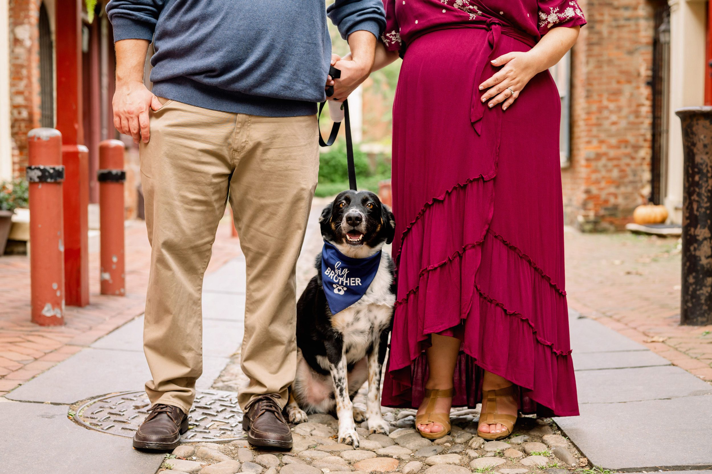 Close up maternity photo of a dog wearing a blue "Big Brother" handkerchief around his neck standing in between expecting couple during a Philadelphia maternity photoshoot