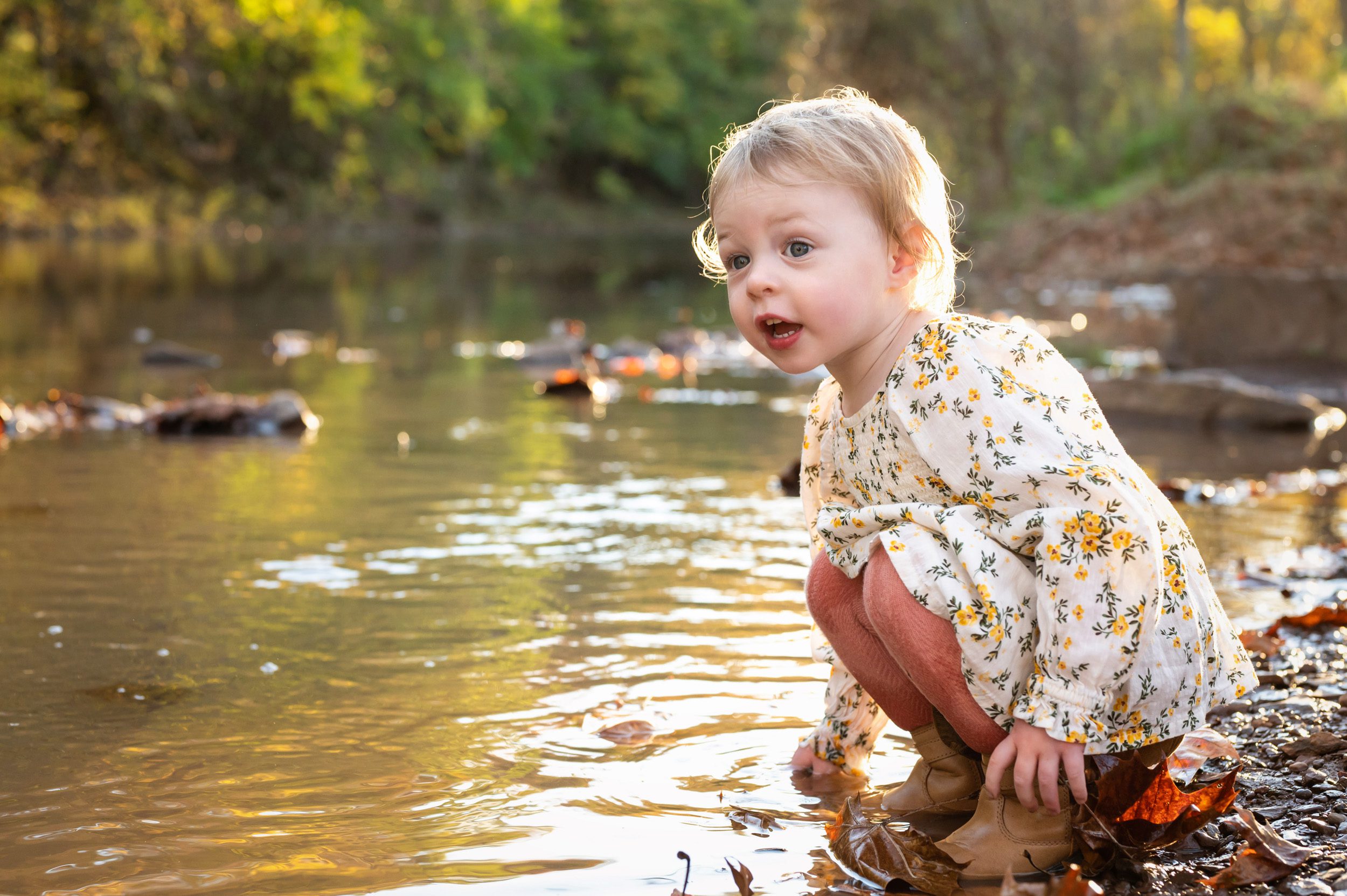 Close up picture of a young girl dipping her fingers into a creek and looking up with a surprised expression during a family photoshoot