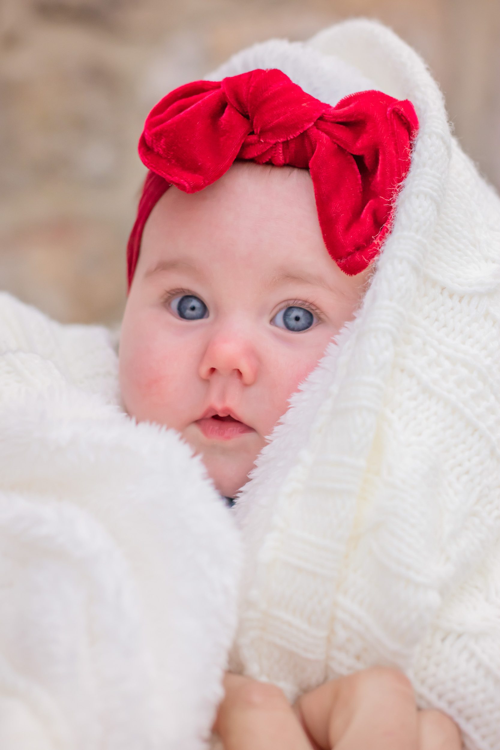 A baby girl with blue eyes and a bright red headband gazes intently at the camera while snuggled in a fuzzy white blanket during a family photoshoot