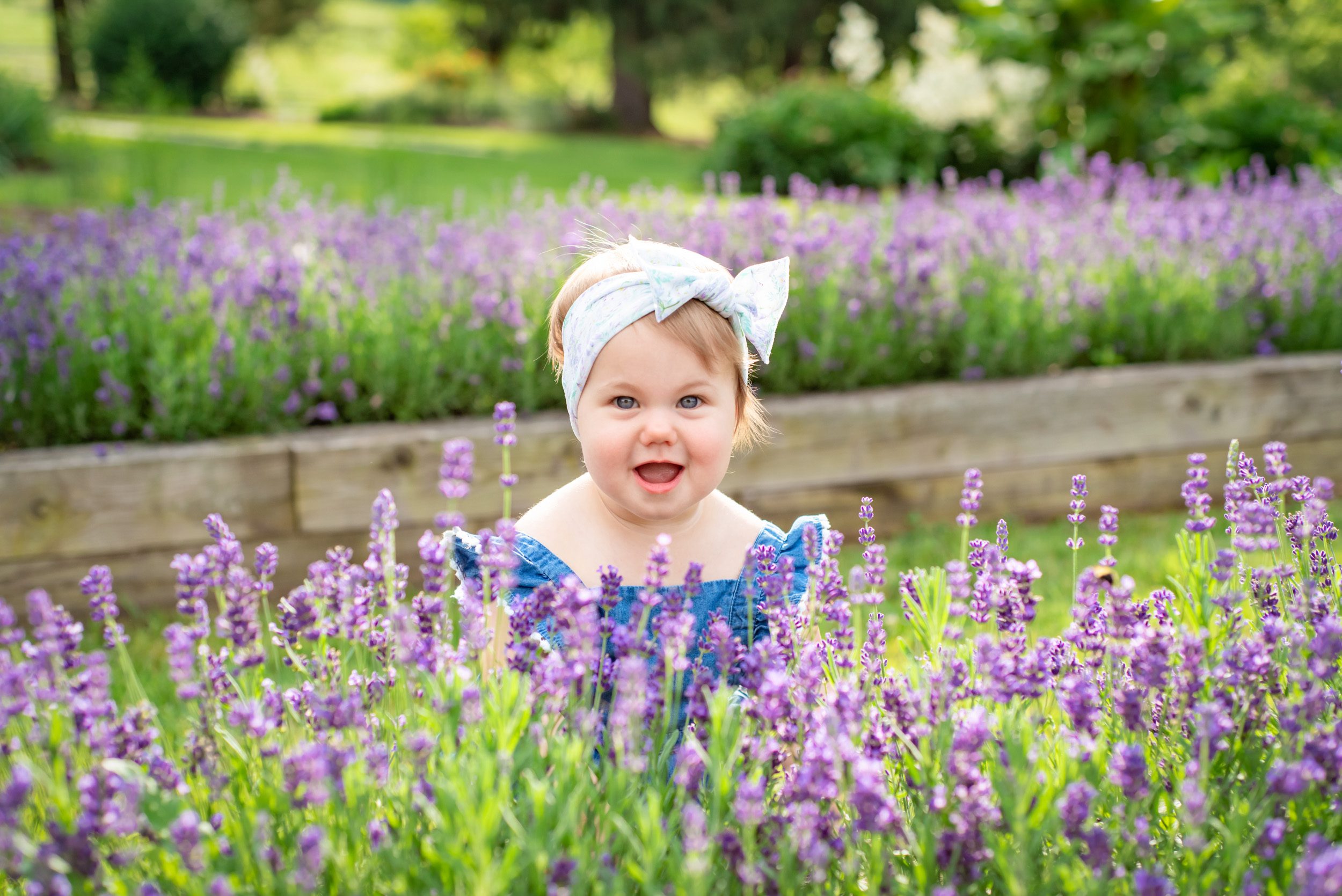 Young girl in a blue romper and white headband standing in between rows of lavender and smiling at the camera during a family mini session