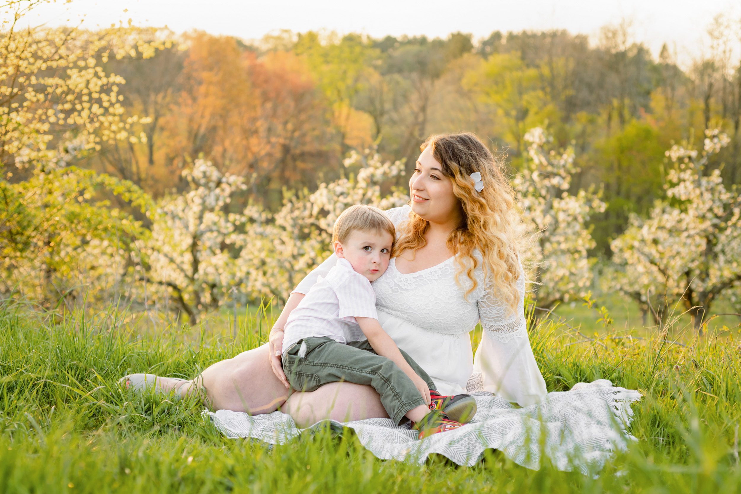 A little boy looking at the camera as he snuggles up against his mom's chest in an orchard full of apple blossoms during a family photoshoot