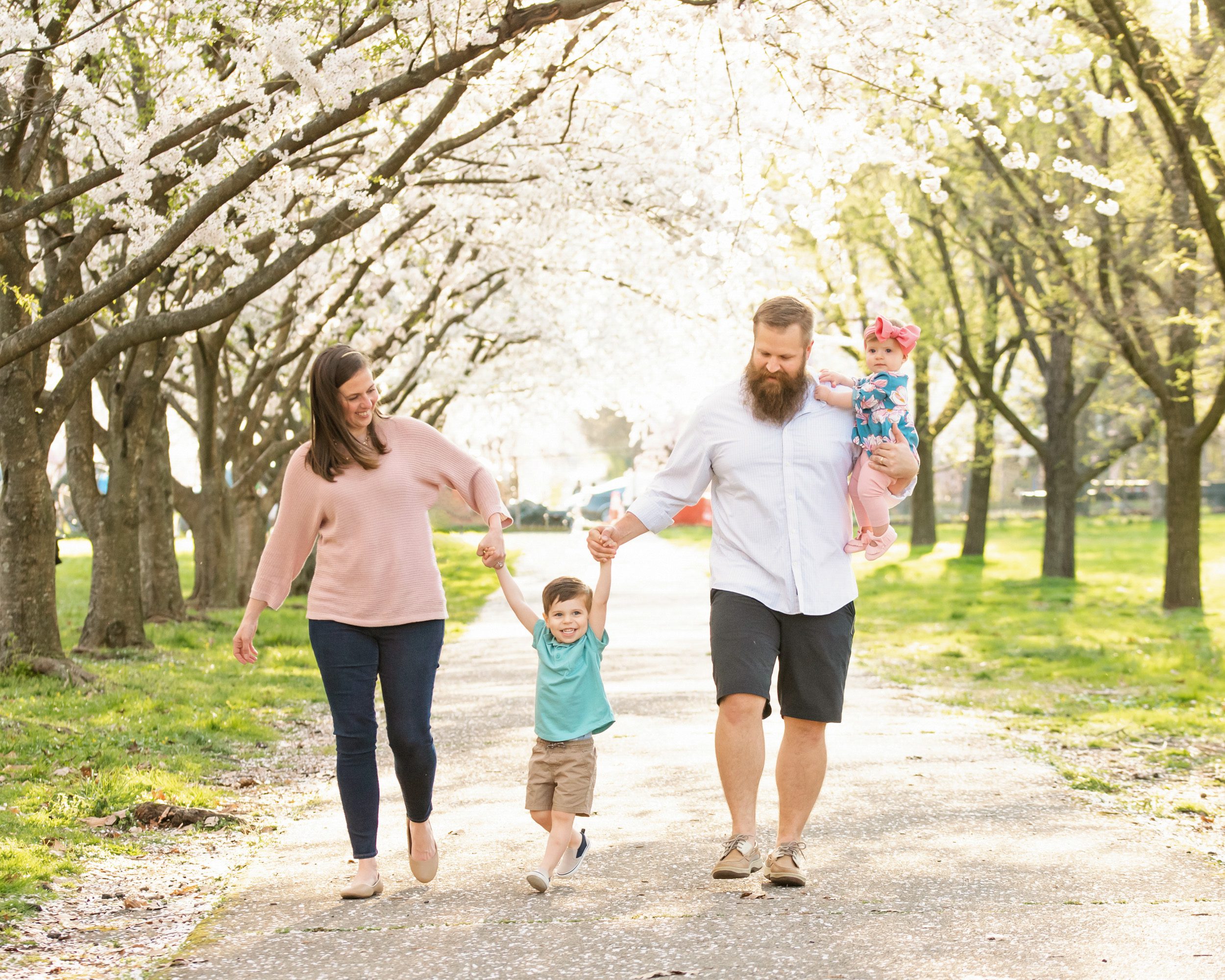 Parents and their two young kids walking and holding hands under a row of cherry blossom trees in full bloom during a family photo session