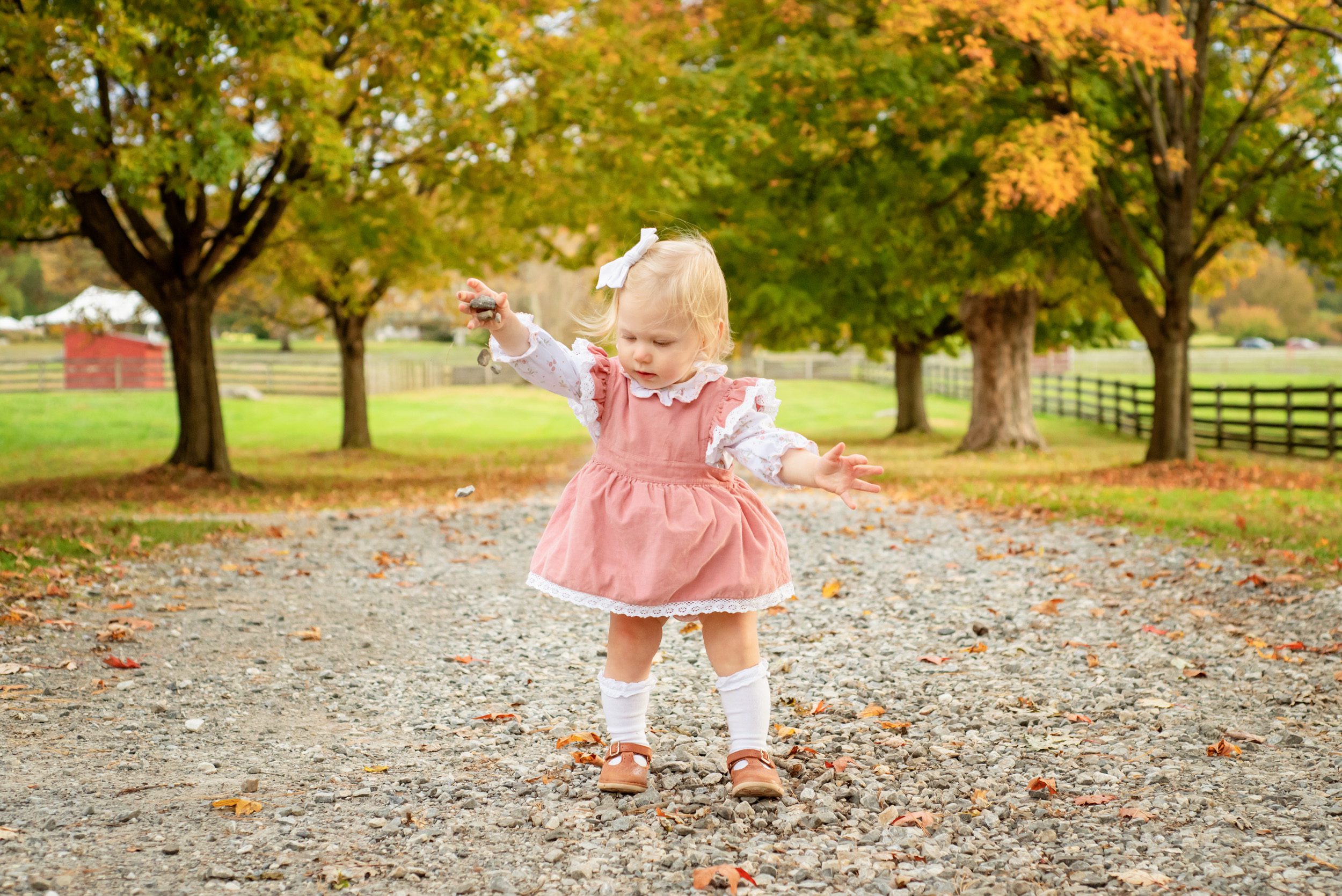 A young girl standing on a gravel tree lined path watching with fascination as the little rocks she drops fall to the ground during a family photoshoot