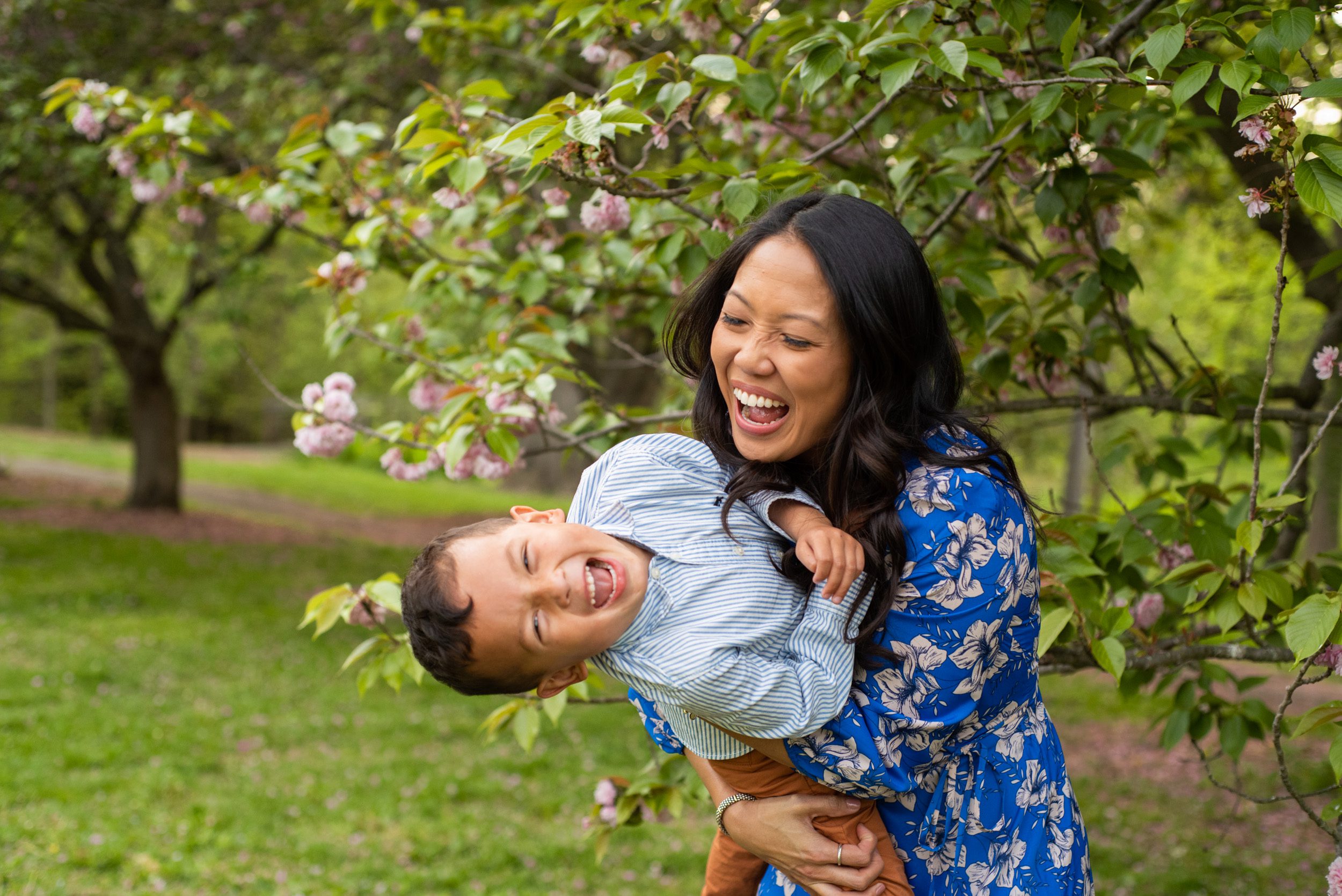 a little boy laughing as his mom dips him toward the ground during a family photoshoot