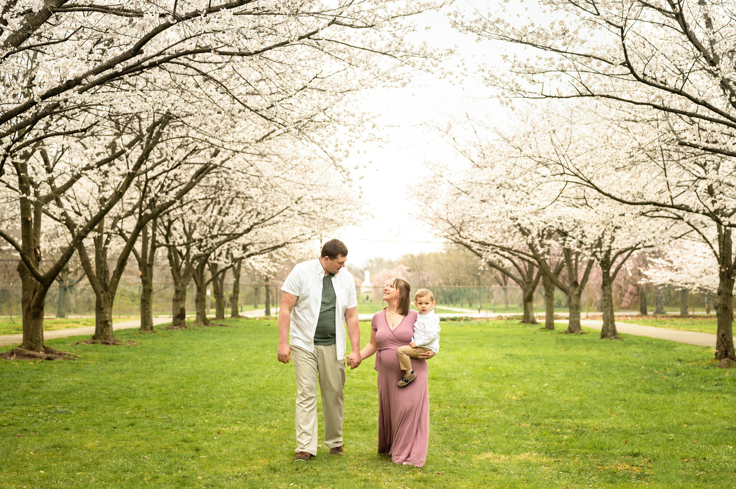 Expecting parents holding hands and smiling at each other as they walk between two rows of white cherry blossom trees in bloom while mom holds her young son on her hip at a maternity photoshoot
