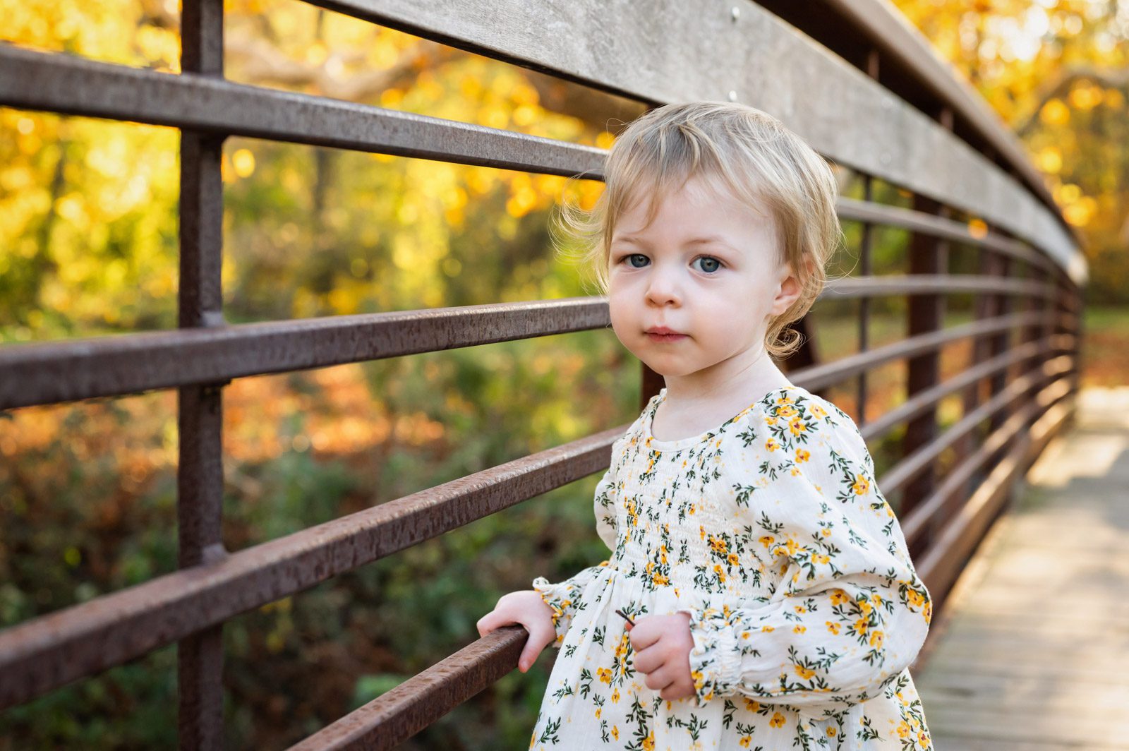 A little girl holding onto the rail of a bridge and looking back toward the camera with a serious expression during a family photo session