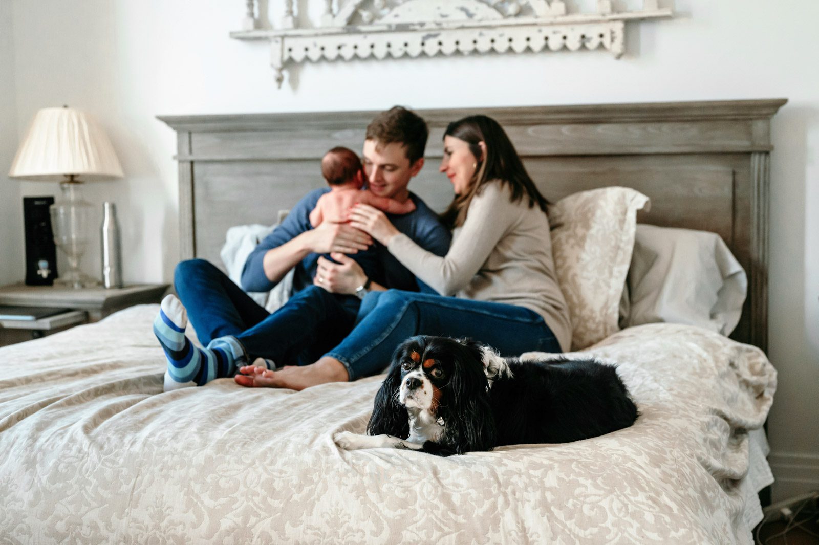 A pet dog laying at the foot of the bed and looking at the camera while new parent snuggle with their newborn baby boy in the background during a home newborn photo shoot