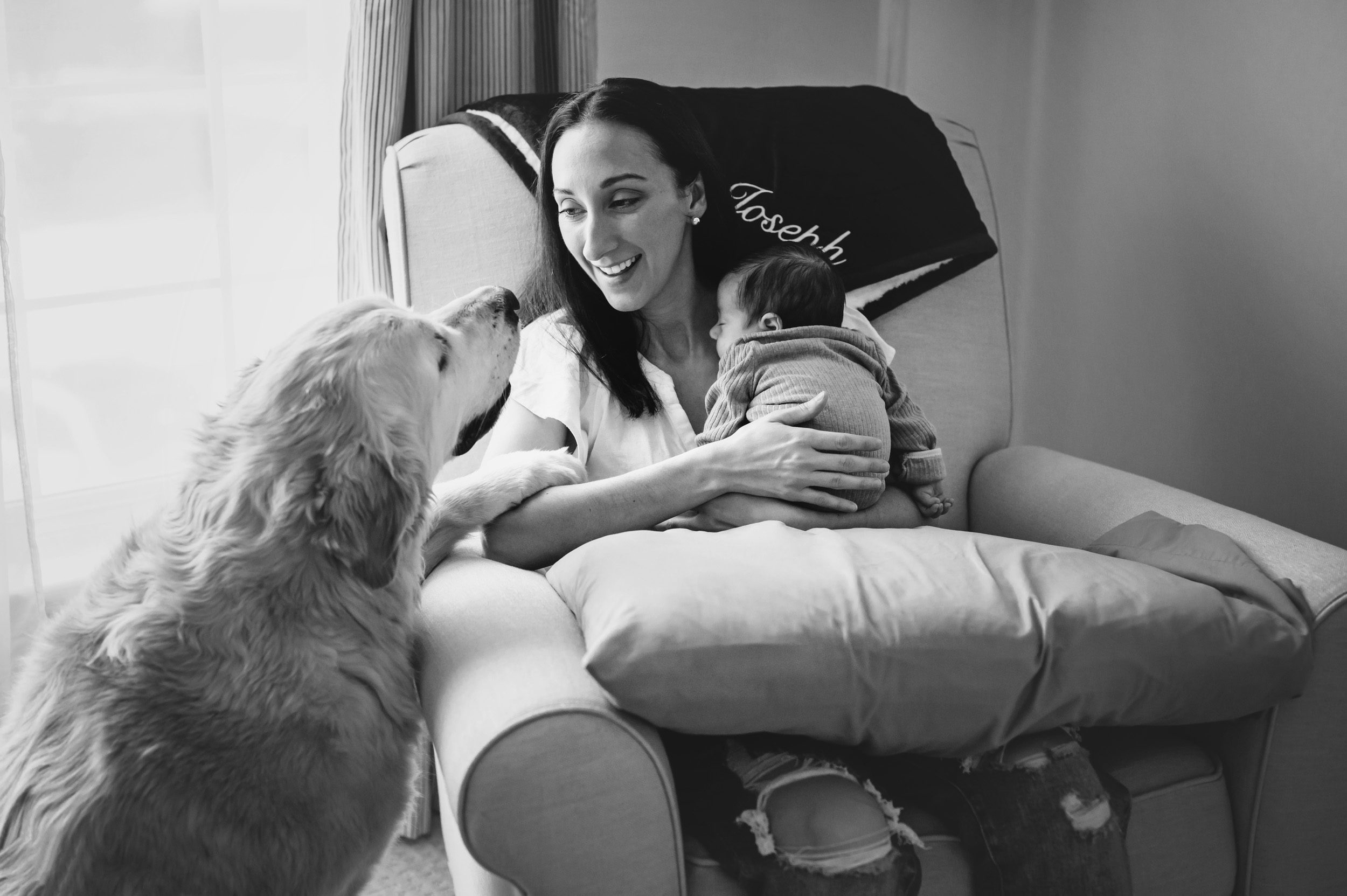 a black and white picture of a new mom holding her baby boy in her arms as the family dog lifts his paw up to rest it on her arm during a lifestyle newborn photography session