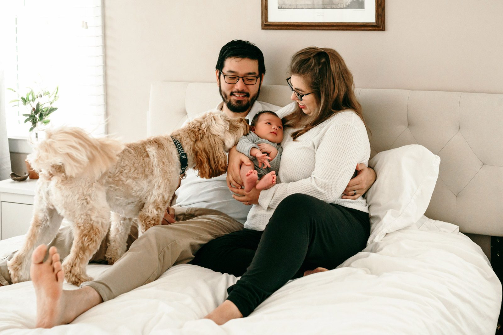 New parents sitting on their bed holding their newborn baby boy and laughing as their pet dog sniffs the baby during an in home newborn session