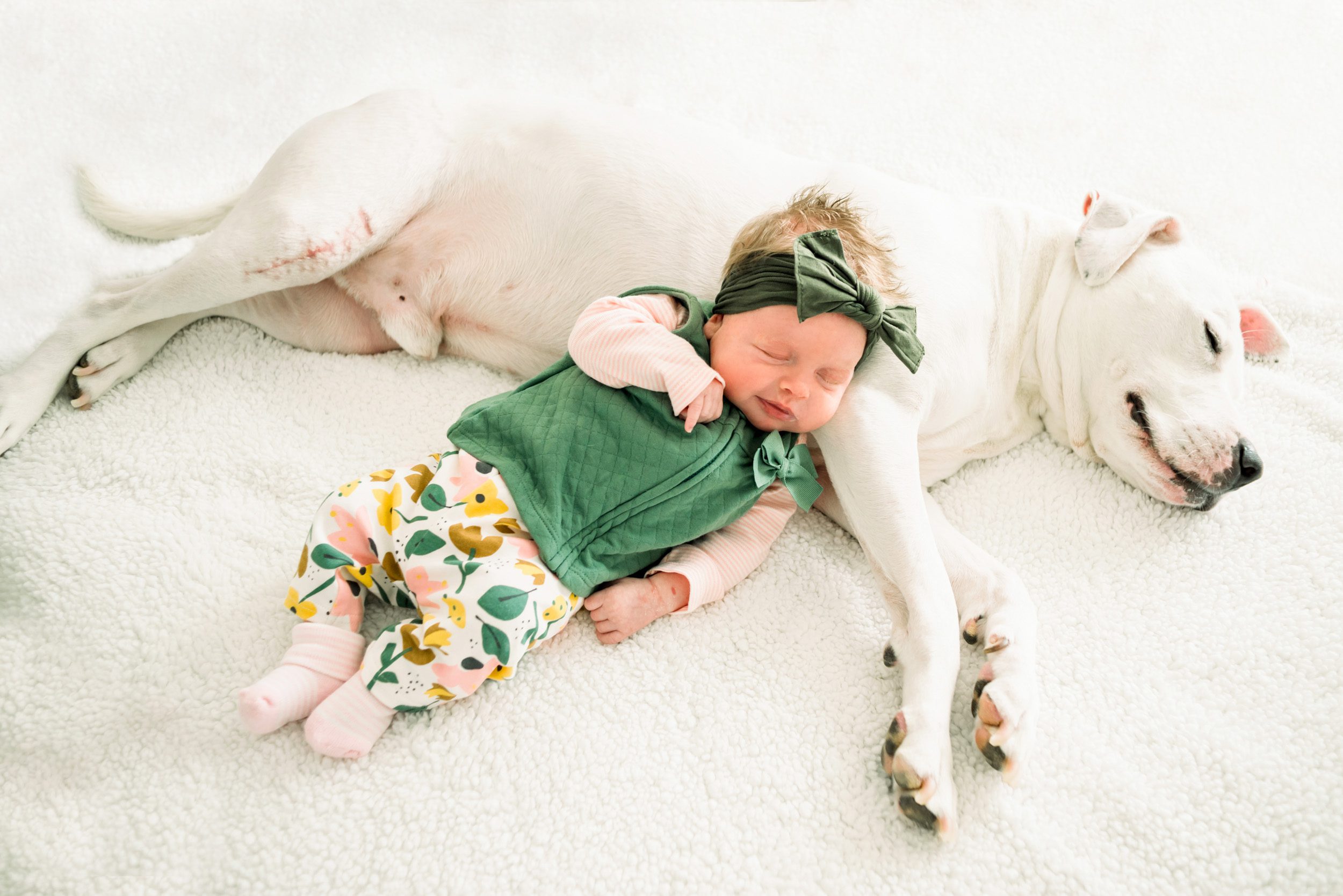 newborn baby girl and her pet dog sleeping together on a white blanket during a home newborn photoshoot