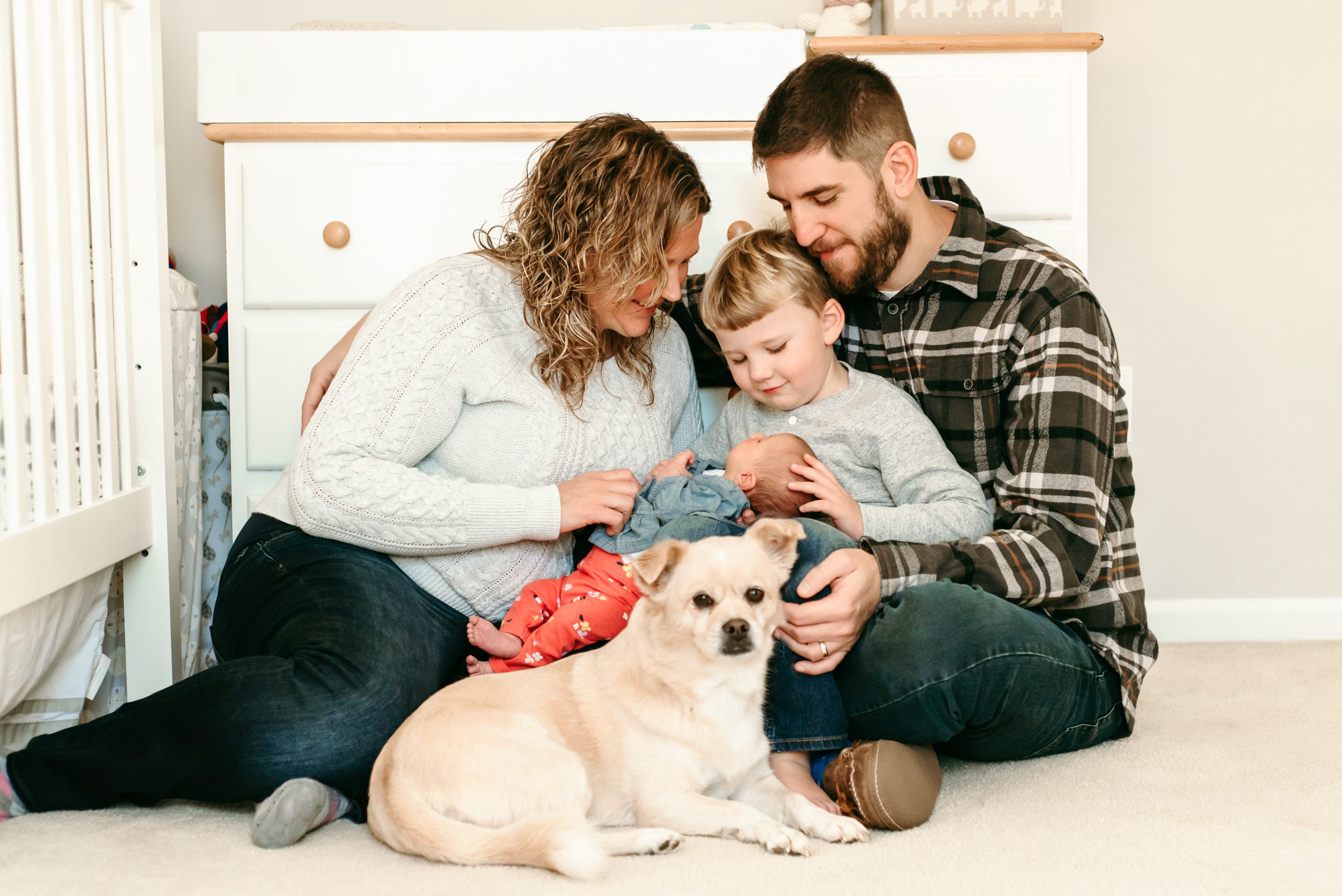 A pet dog looking at the camera while a new family of four snuggles with their newborn baby girl in the background during a natural newborn photoshoot