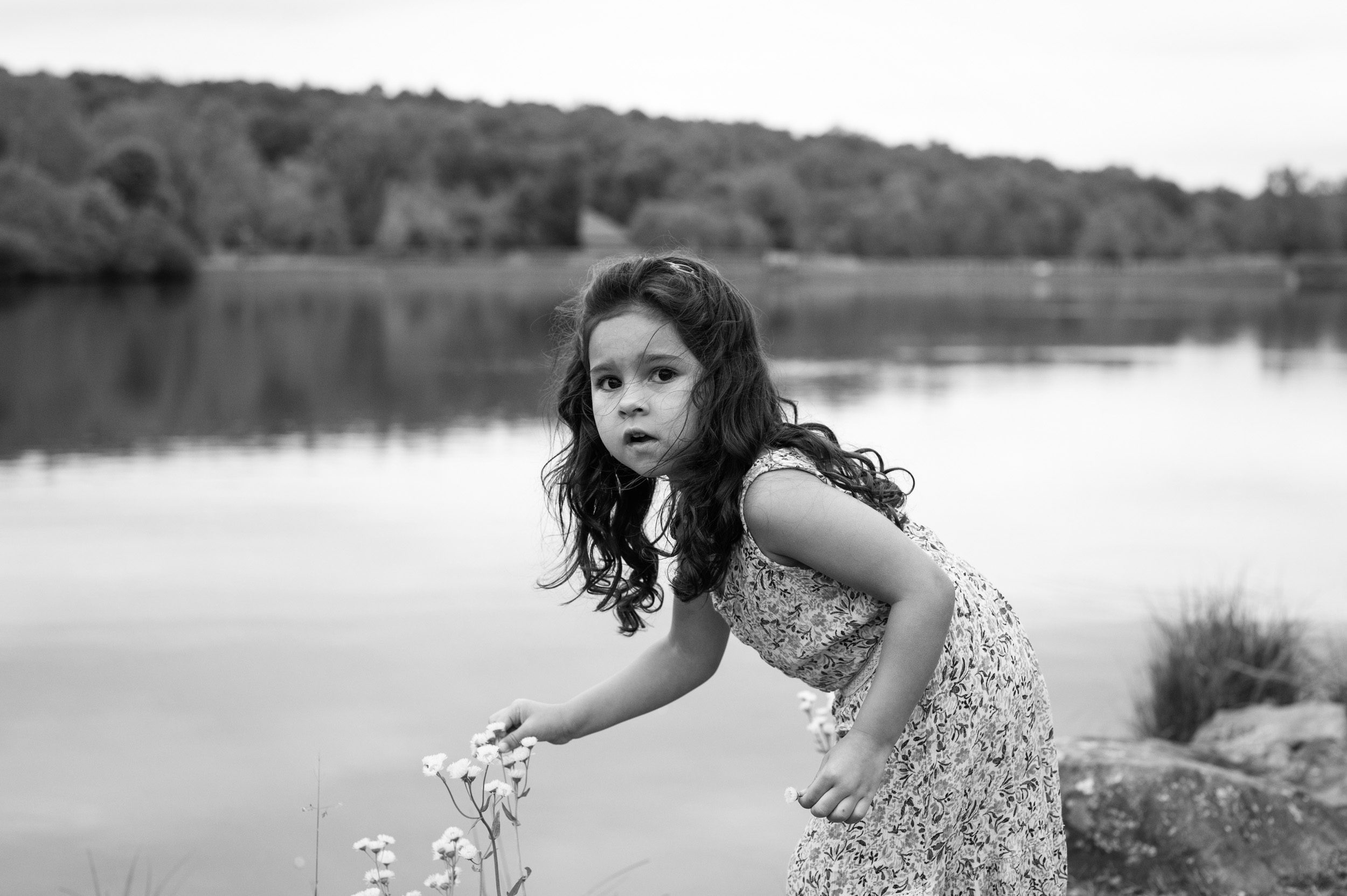 a black and white picture of a little girl standing in front of a lake and picking a flower during a family photoshoot