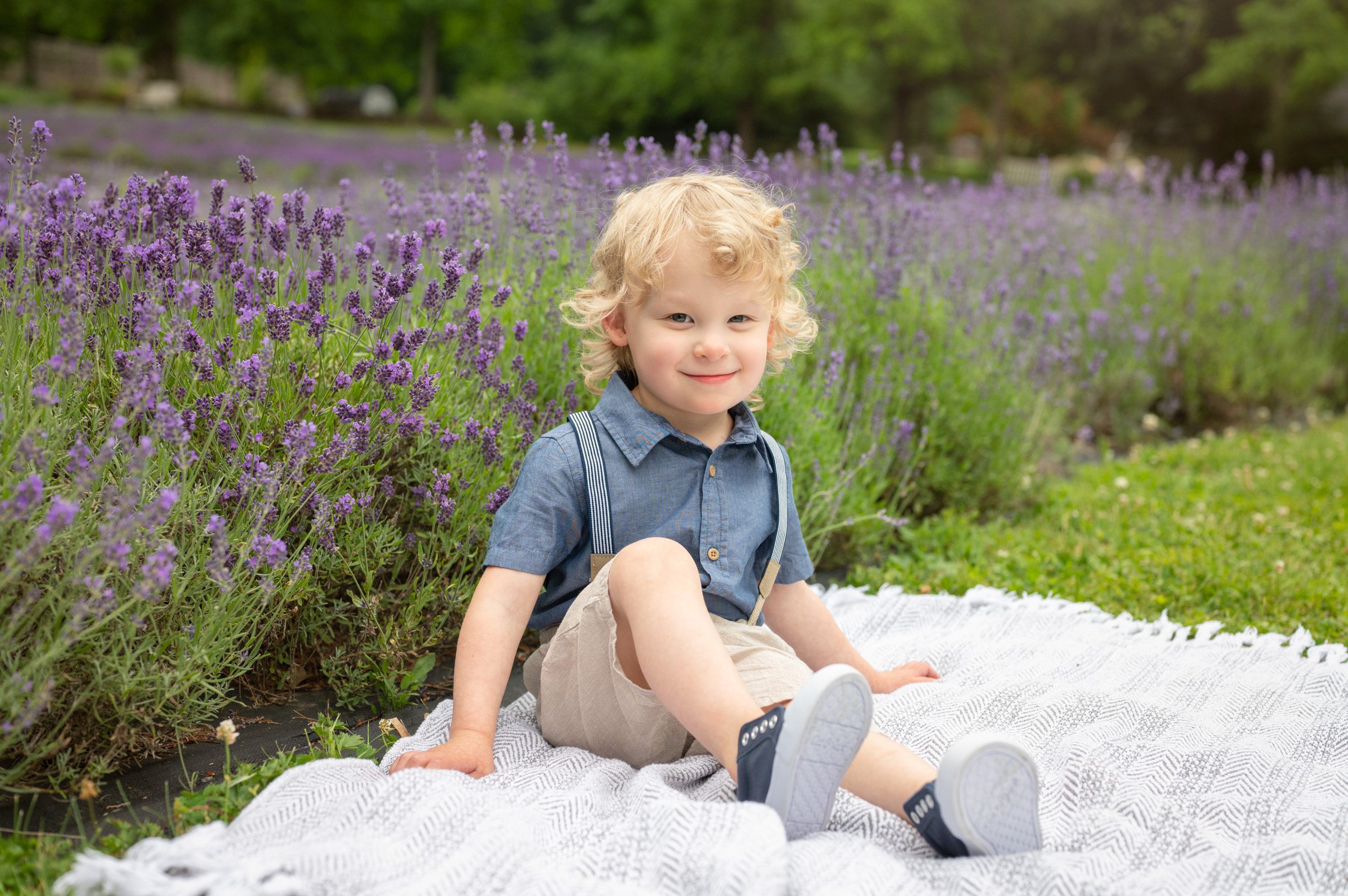 a little boy sitting in front of a field of purple lavender and smiling at the camera during a family photo session