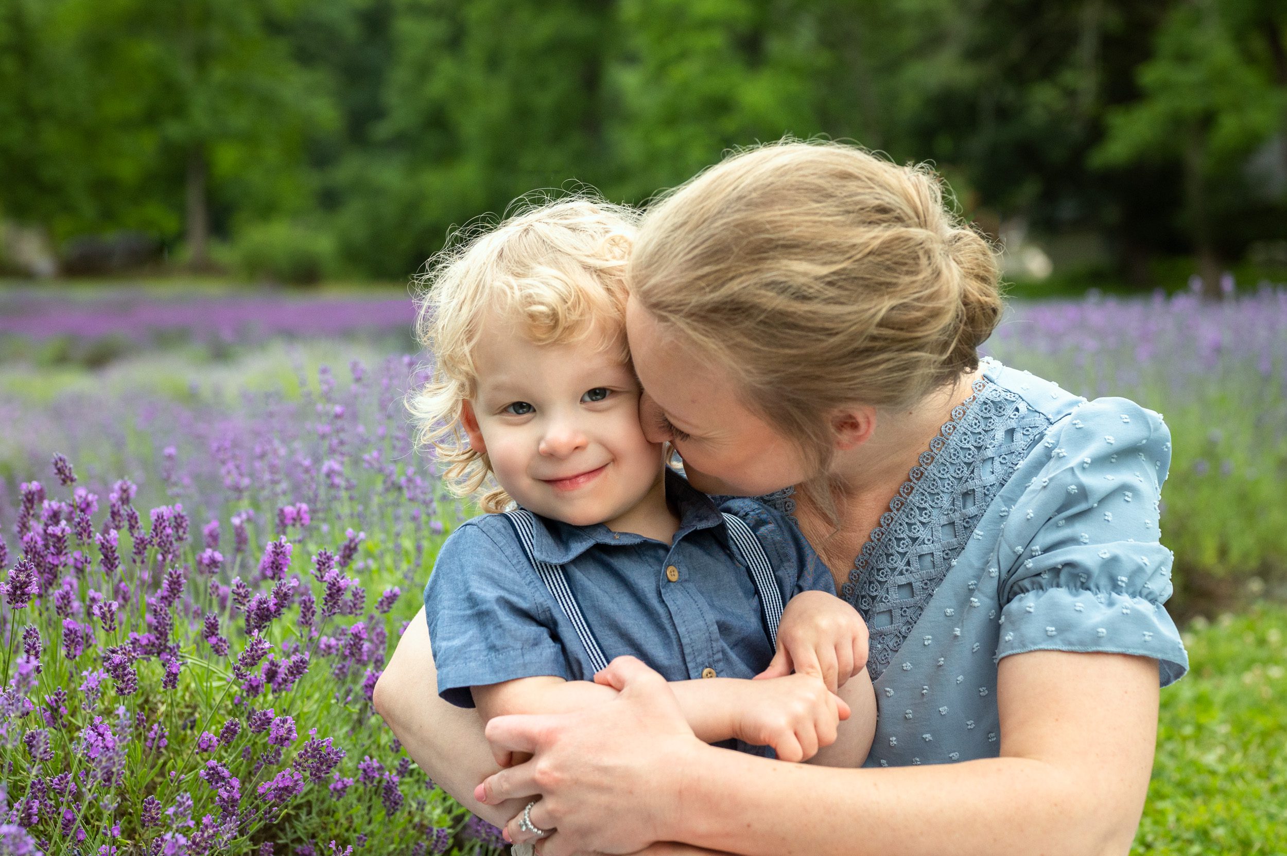 a mom kissing her young son on the cheek in a field of purple lavender during a family photo session