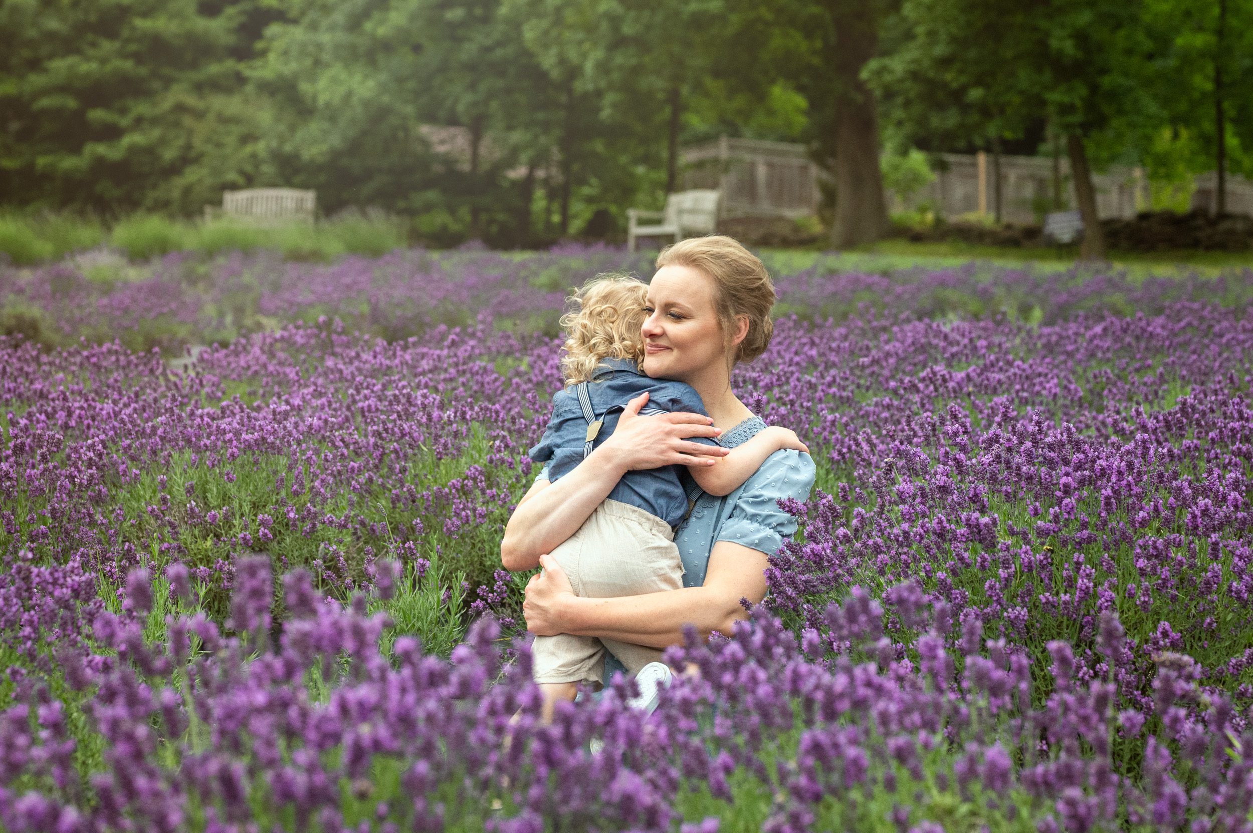a mom hugging her son in a field full of purple lavender in full bloom during a family photo session