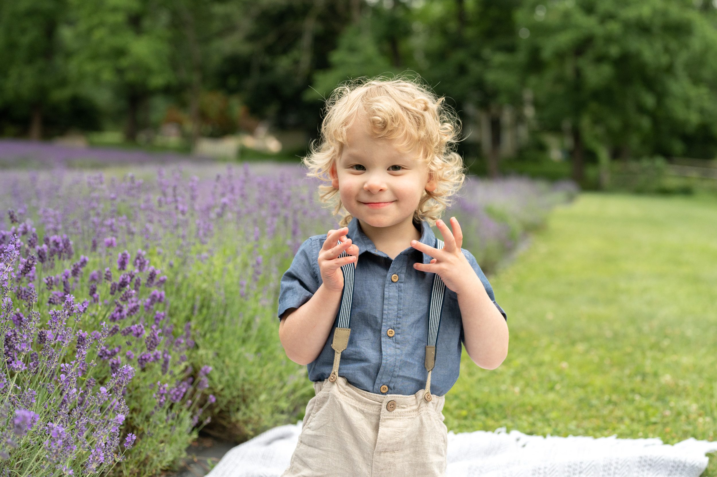 a little boy sitting in front of a field of purple lavender and smiling at the camera as he pulls on his suspenders during a family photo session