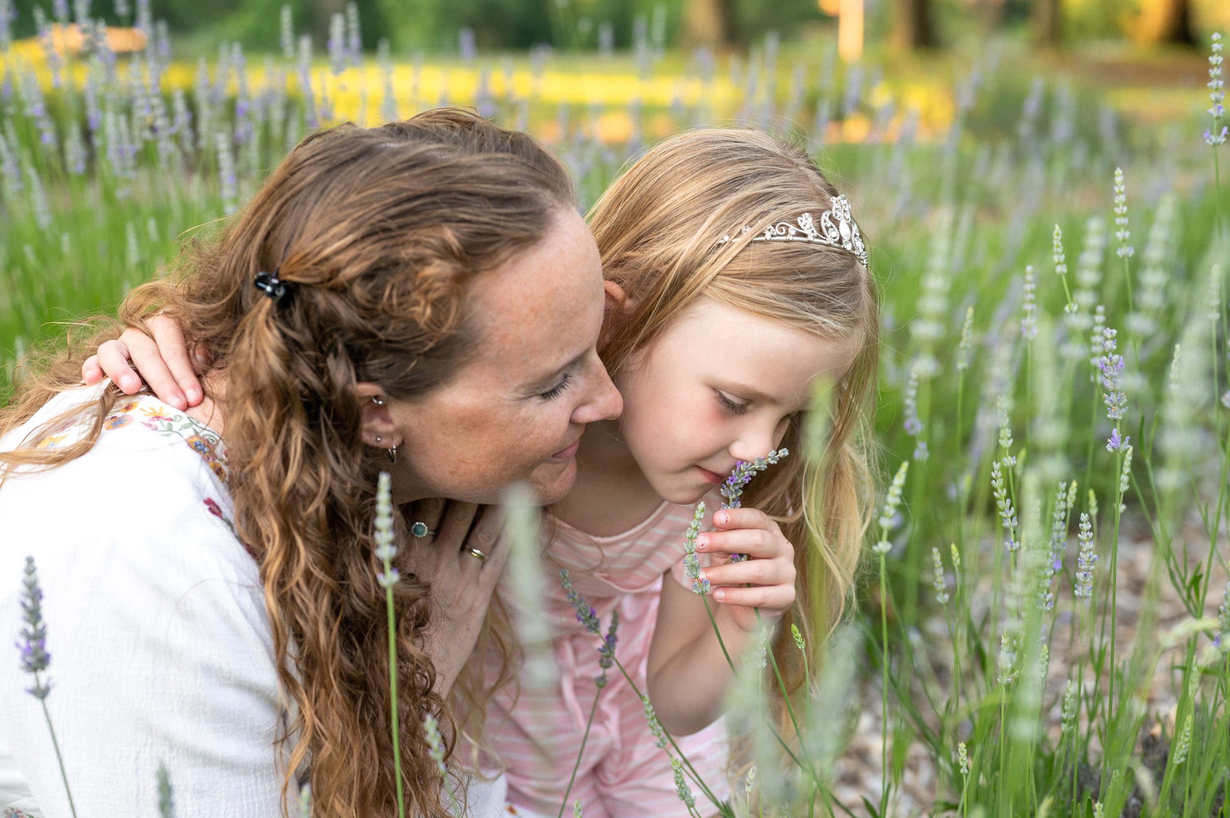 a close up picture of a young girl and her mom smelling the flowers in a field of lavender during a maternity photoshoot
