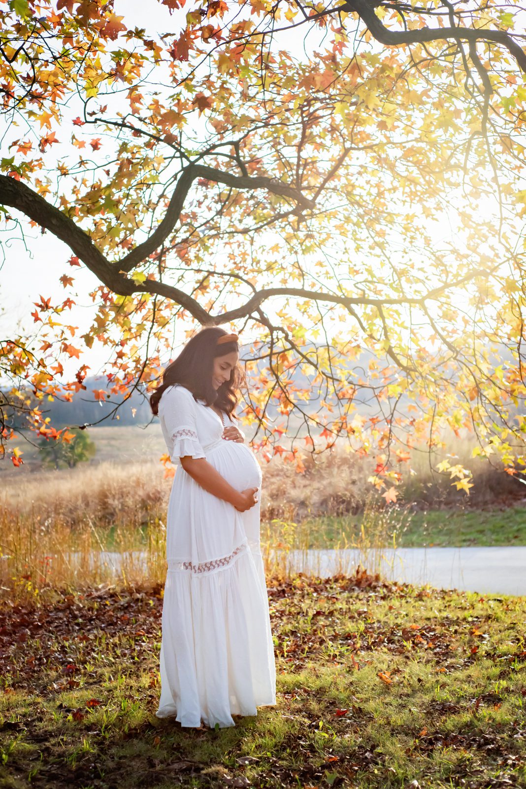 a pregnant mom standing in front of a tree full of yellow and orange leaves and cradling her belly during a valley forge maternity photoshoot