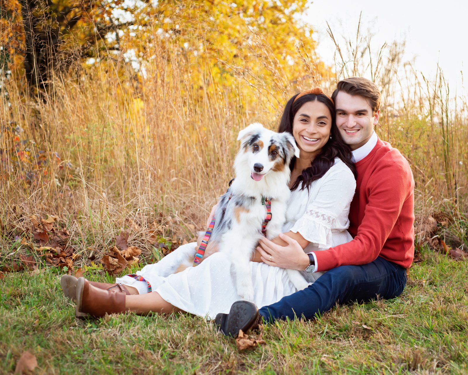 an expecting couple sitting in front of a field of long golden grasses with their pet dog on their lap and smiling at the camera during a Valley Forge maternity photo session