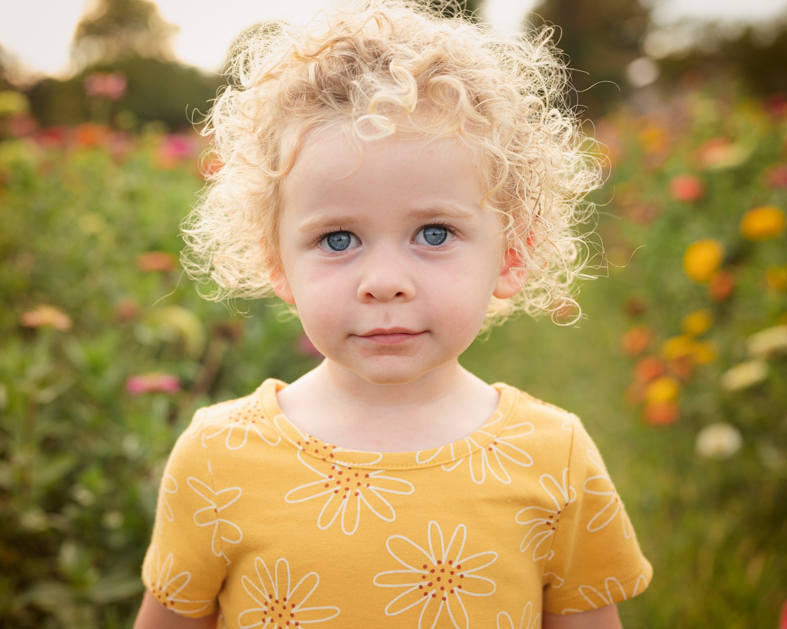 a close up picture of a little girl in a yellow dress standing in a field of colorful flowers and looking straight at the camera during a family photo session