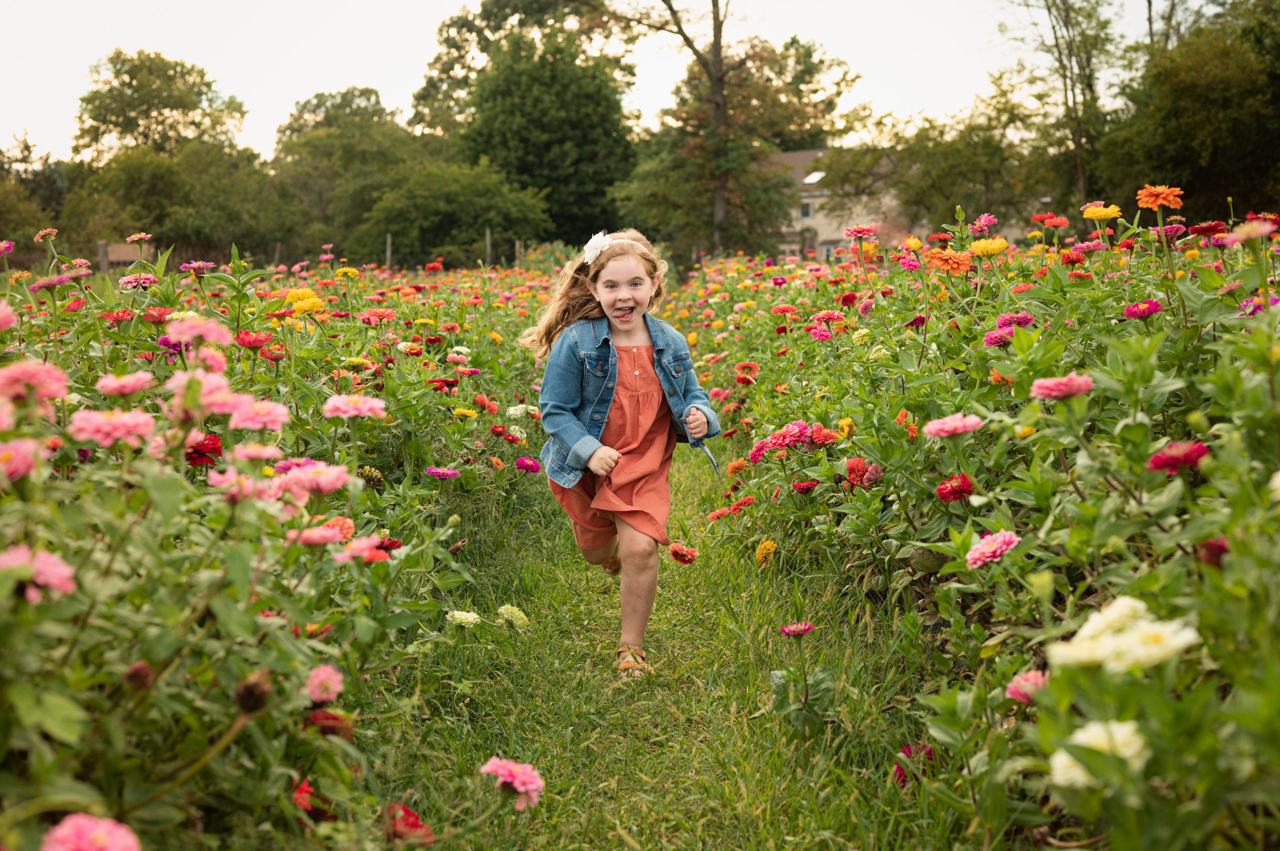 a young girl running through a field of colorful flowers and sticking her tongue out at the camera during a family photo session