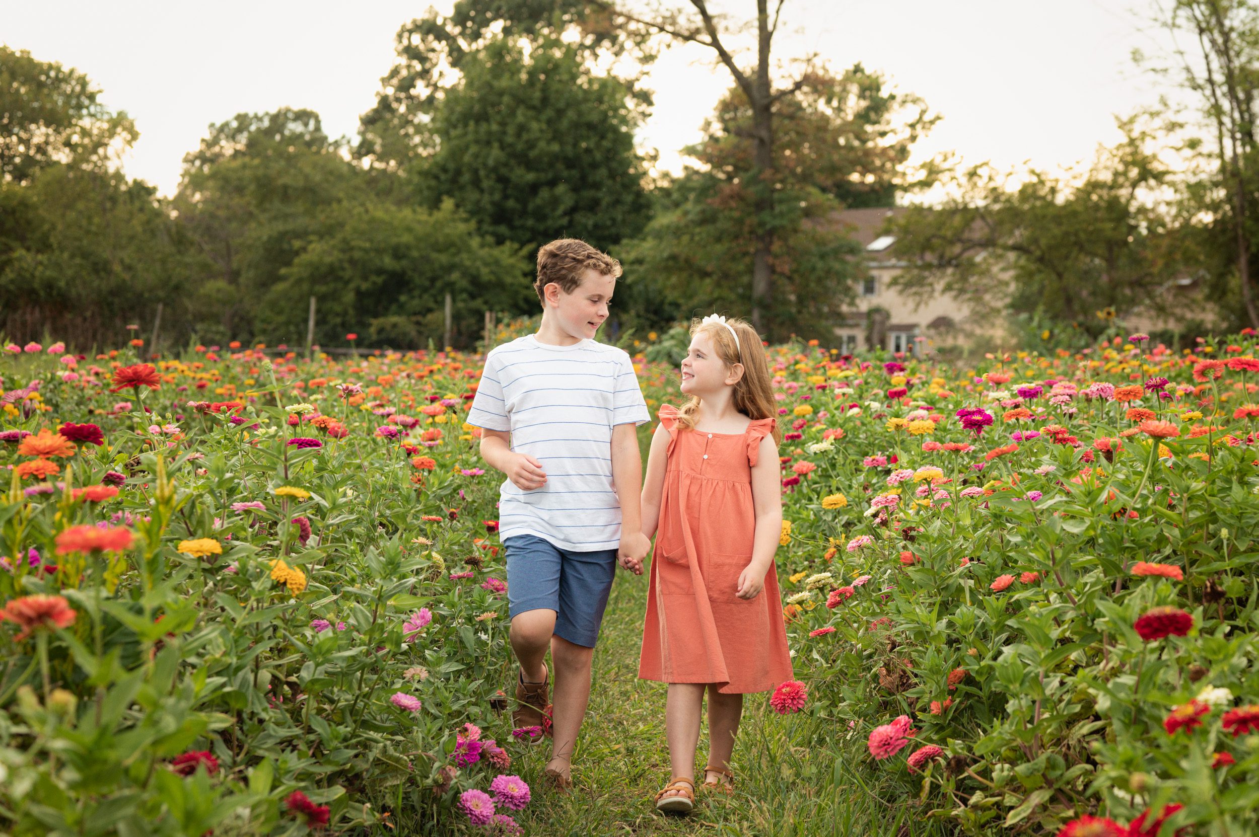 two siblings holding hands and smiling at each other as they walk through a field of colorful flowers during a family photo session