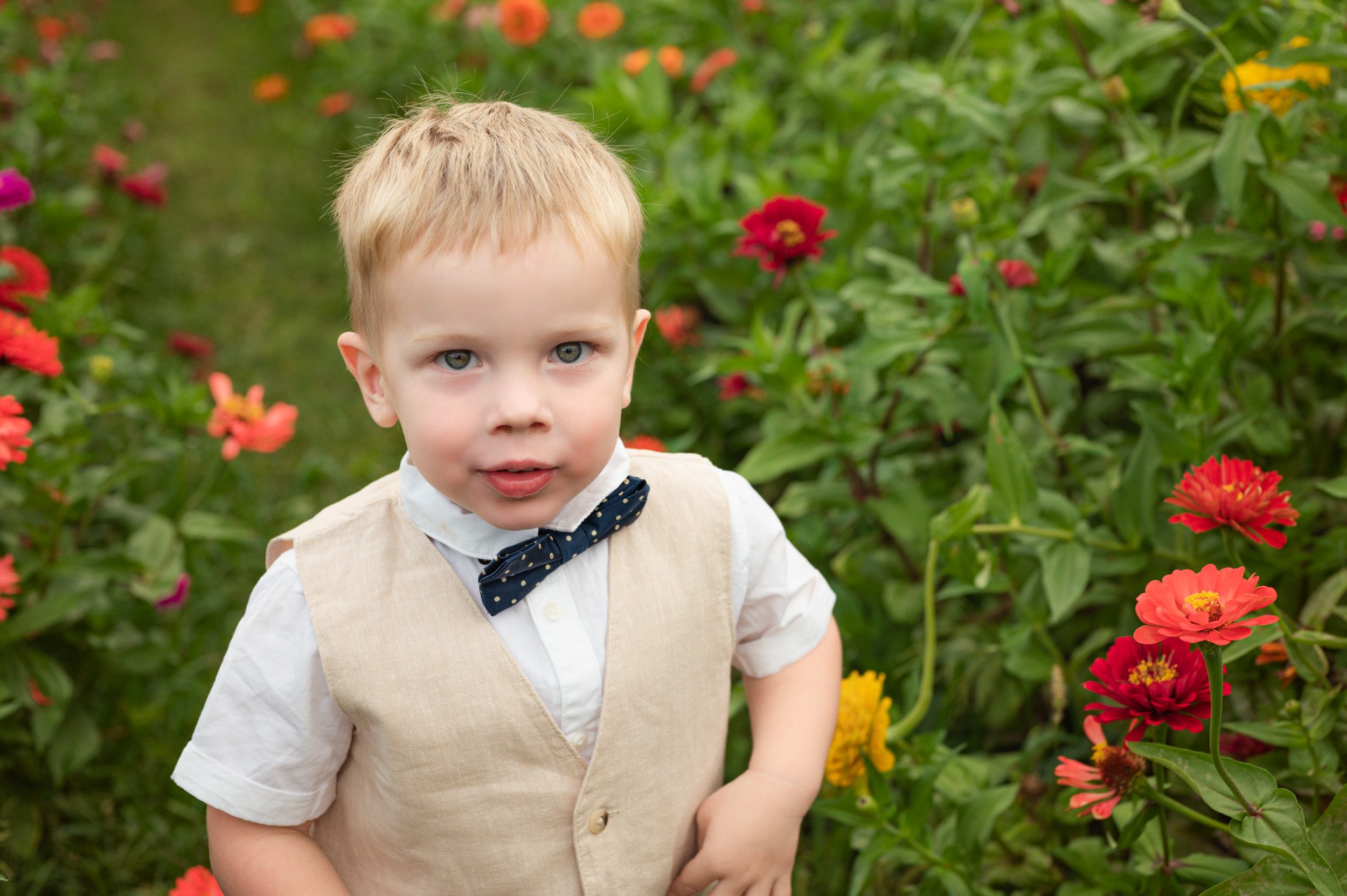 a young boy standing in a field of colorful flowers and smiling at the camera during a family photo session