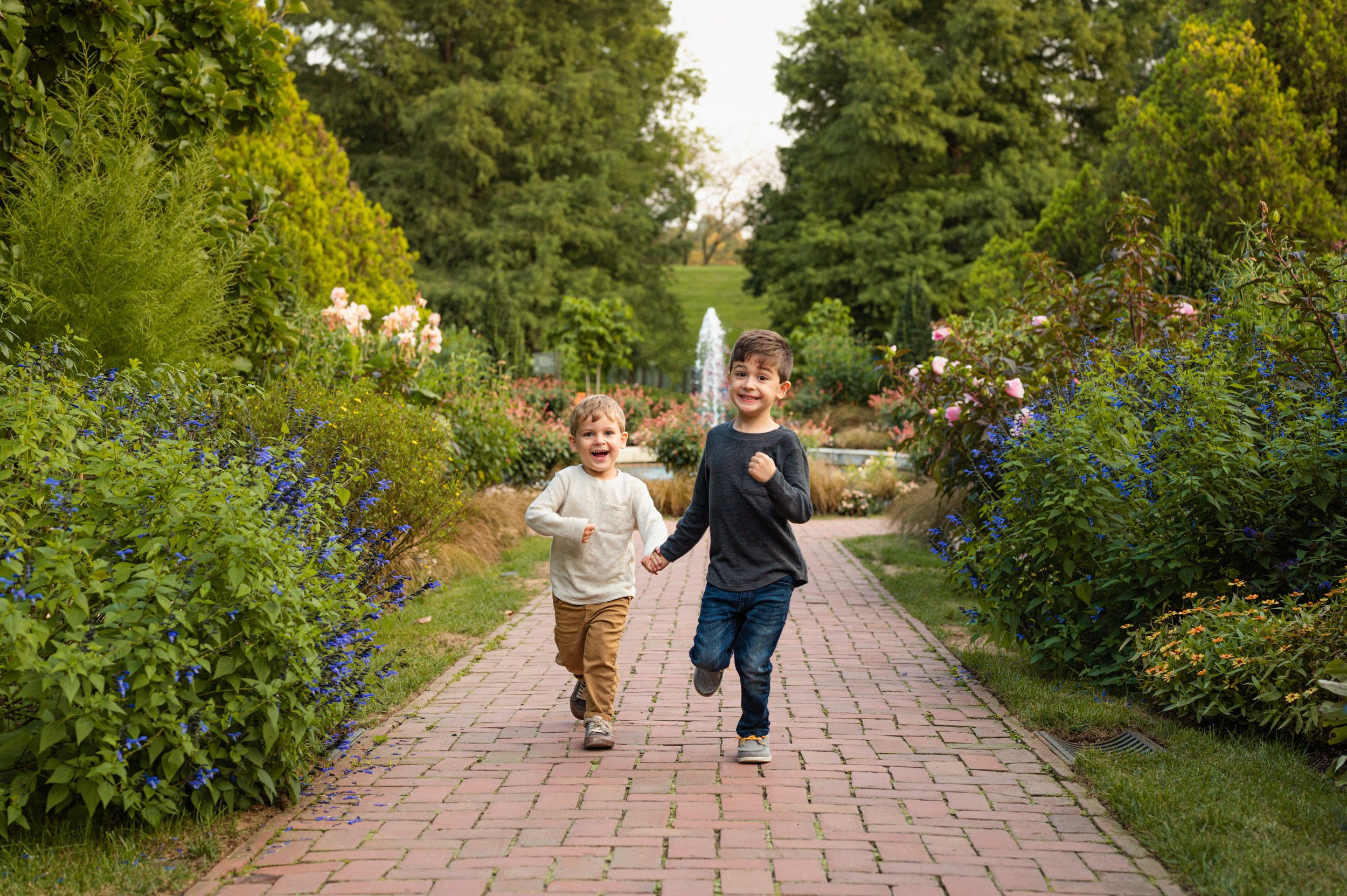 two young brothers holding hands and running up a brick path surrounded by flower gardens at a Longwood Gardens family photo session