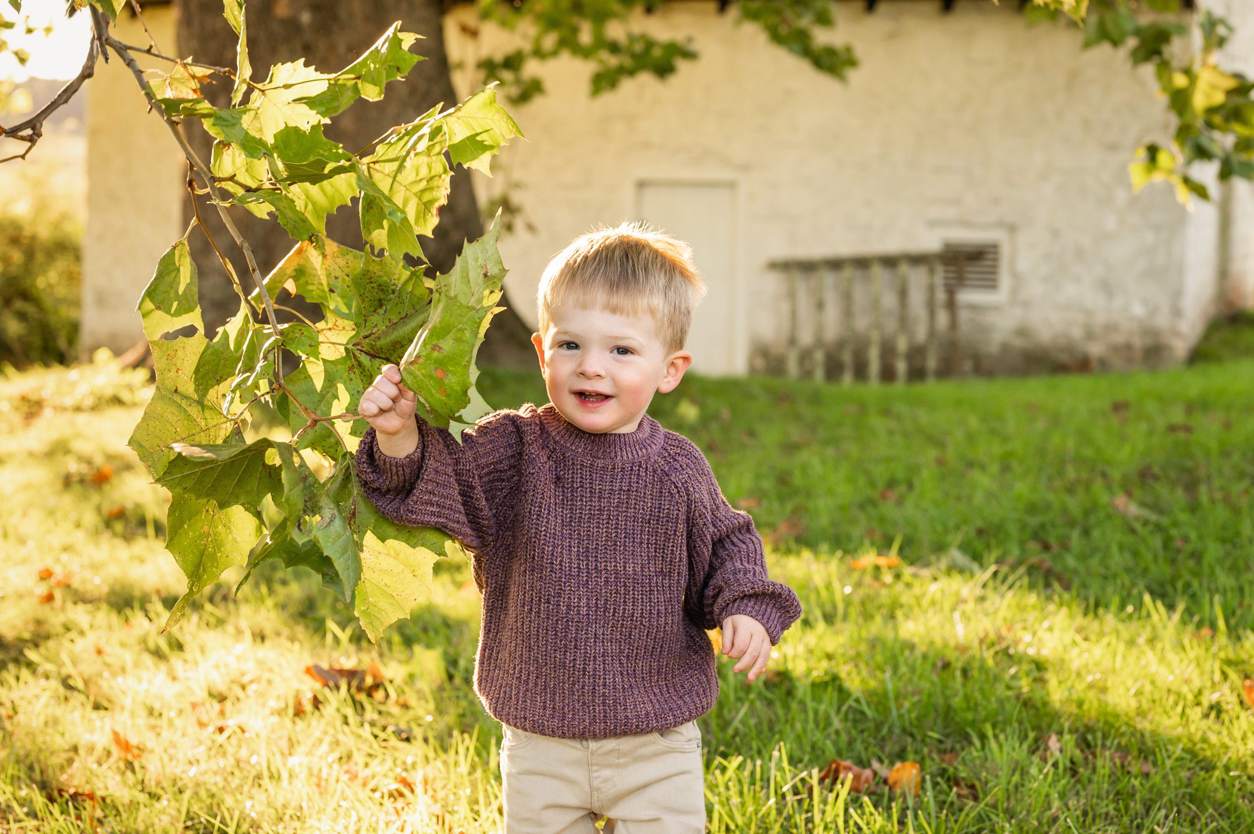 a young boy standing in the grass and holding up a leaf as he smiles at the camera during a family photo session