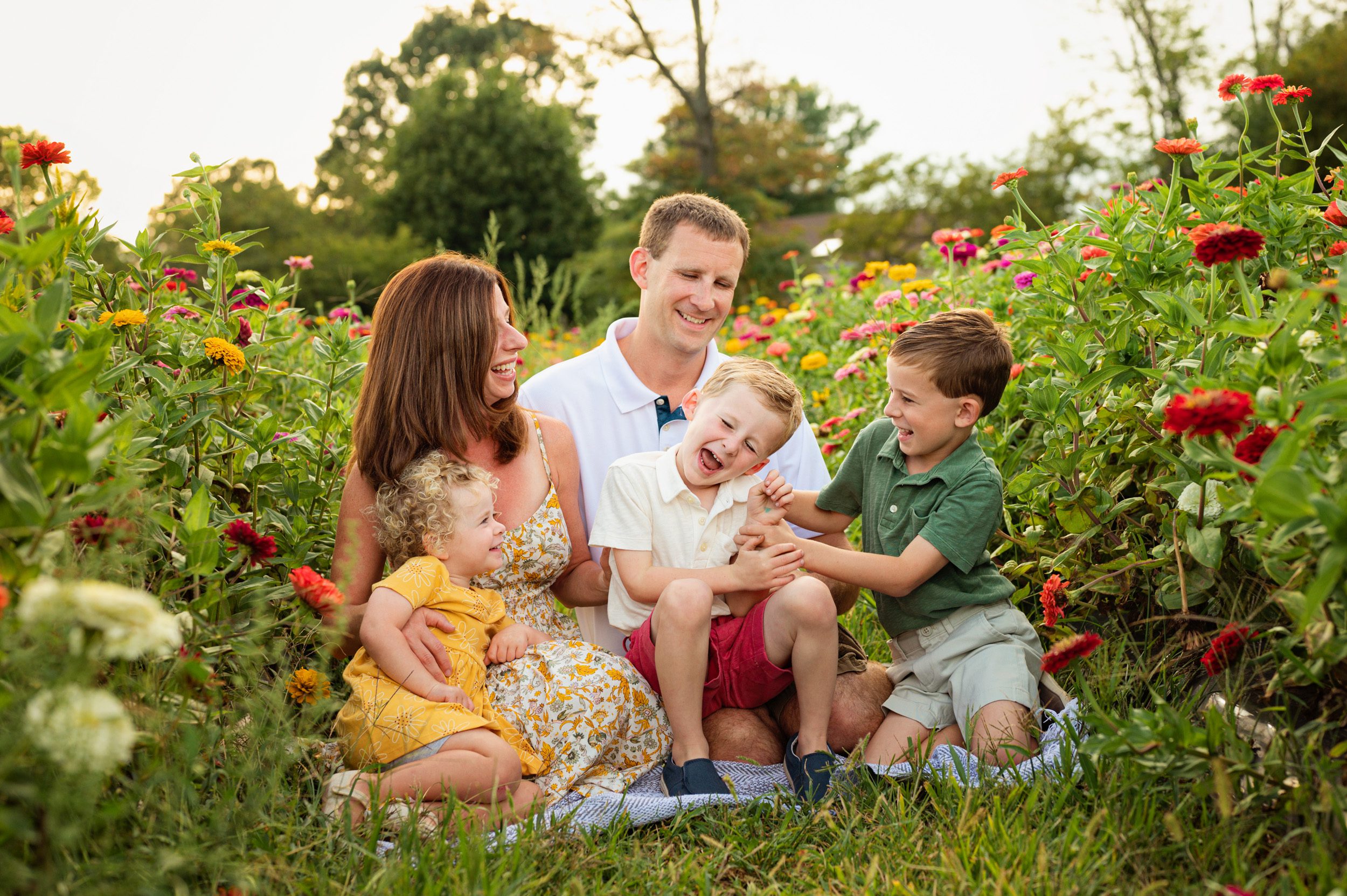 a family of five sitting in a flower field full of colorful zinnias in bloom laughing as the older son tickles his little brother on his dad's lap during a fall mini session