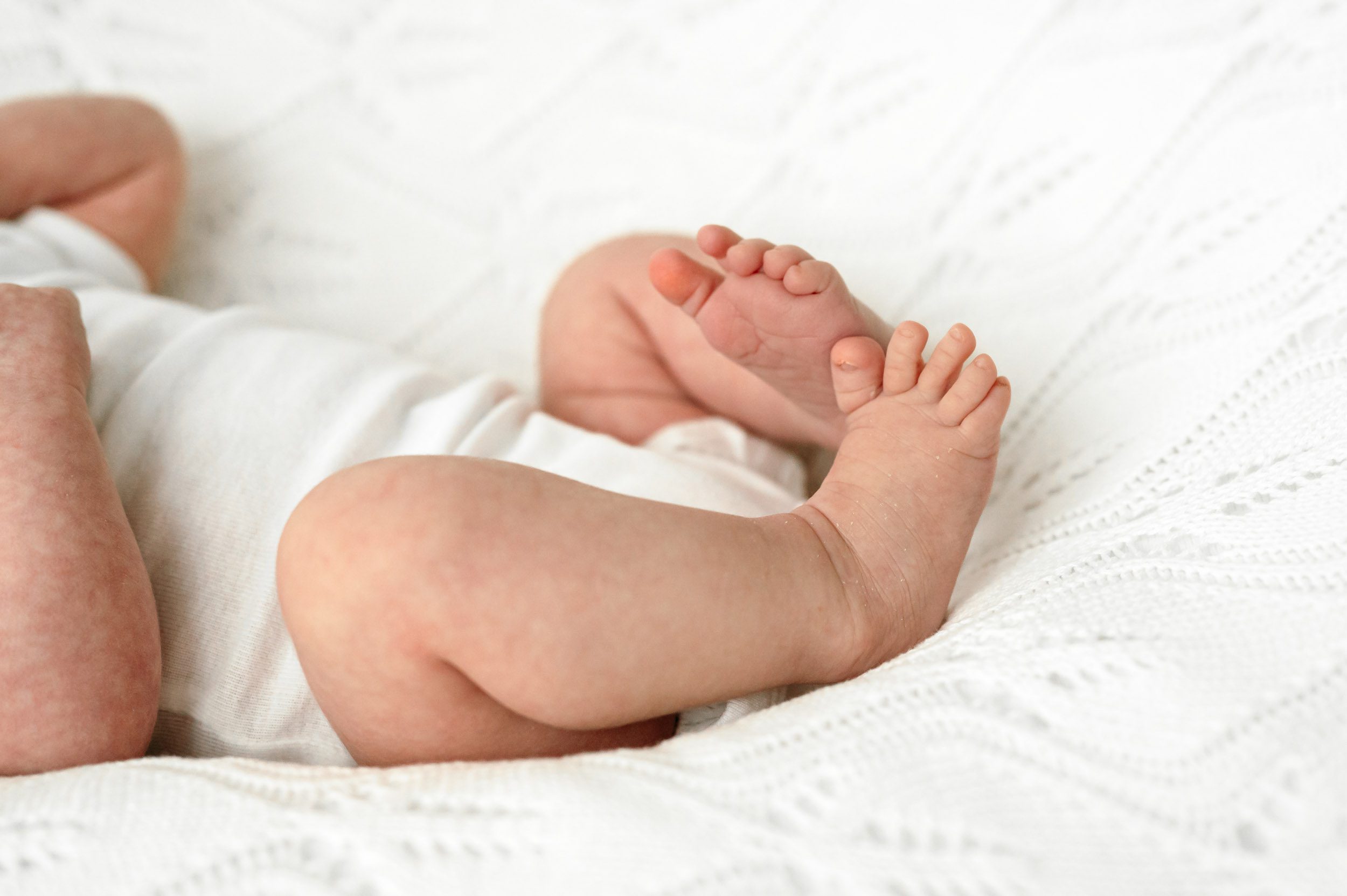 a close up picture of a newborn baby girl's feet on a white textured backdrop