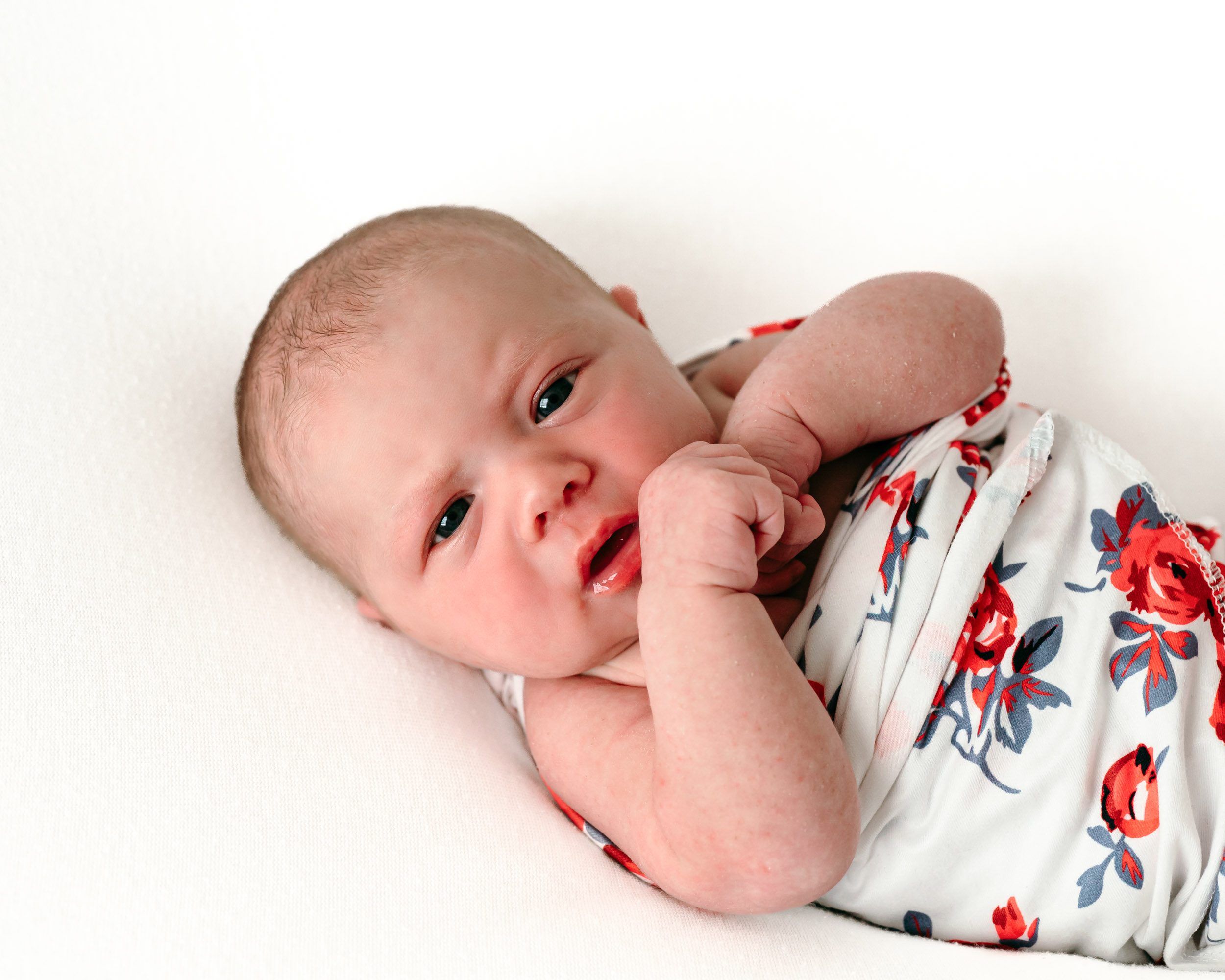 a baby girl wrapped in a white swaddle with a bright red and blue floral pattern laying on a white backdrop and gazing directly into the camera with her hands tucked up  against her cheek during a newborn photoshoot