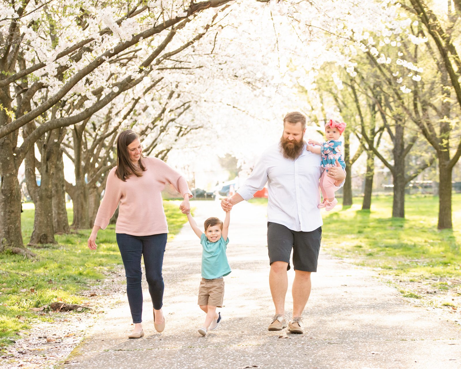 A family of four walking on a path  lined with cherry blossom trees in bloom during a spring photo session