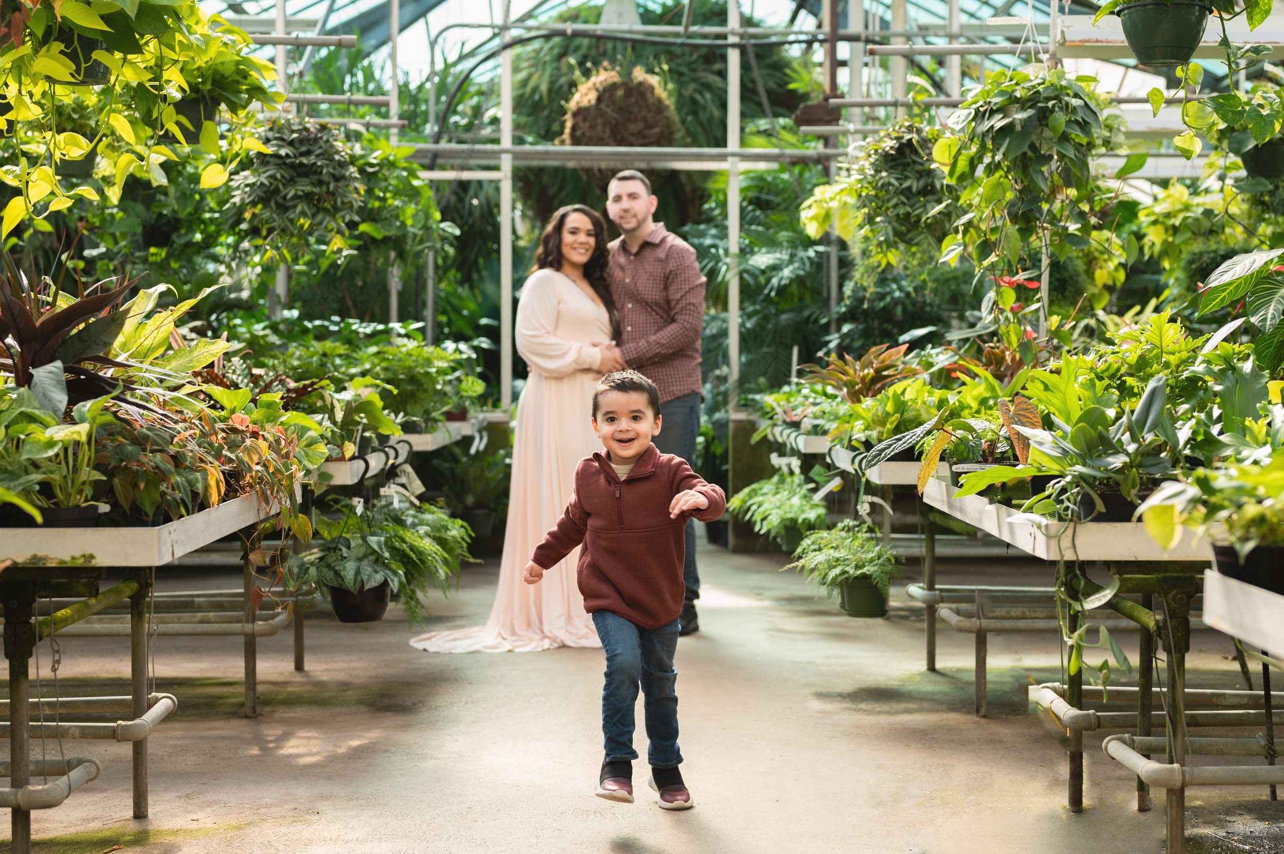 a young boy running toward the camera with his parents standing in the background and smiling at him as they watch him during a Collegeville greenhouse maternity photography session
