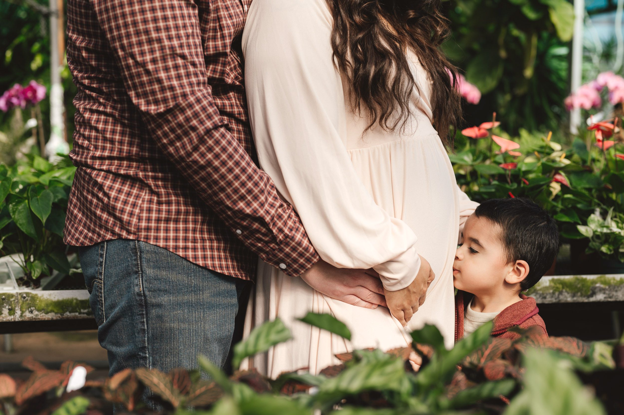 a close up picture of a young boy standing in a greenhouse surrounded by flowers and kissing his expecting mom's belly while dad hugs mom from behind during a Collegeville maternity photography session