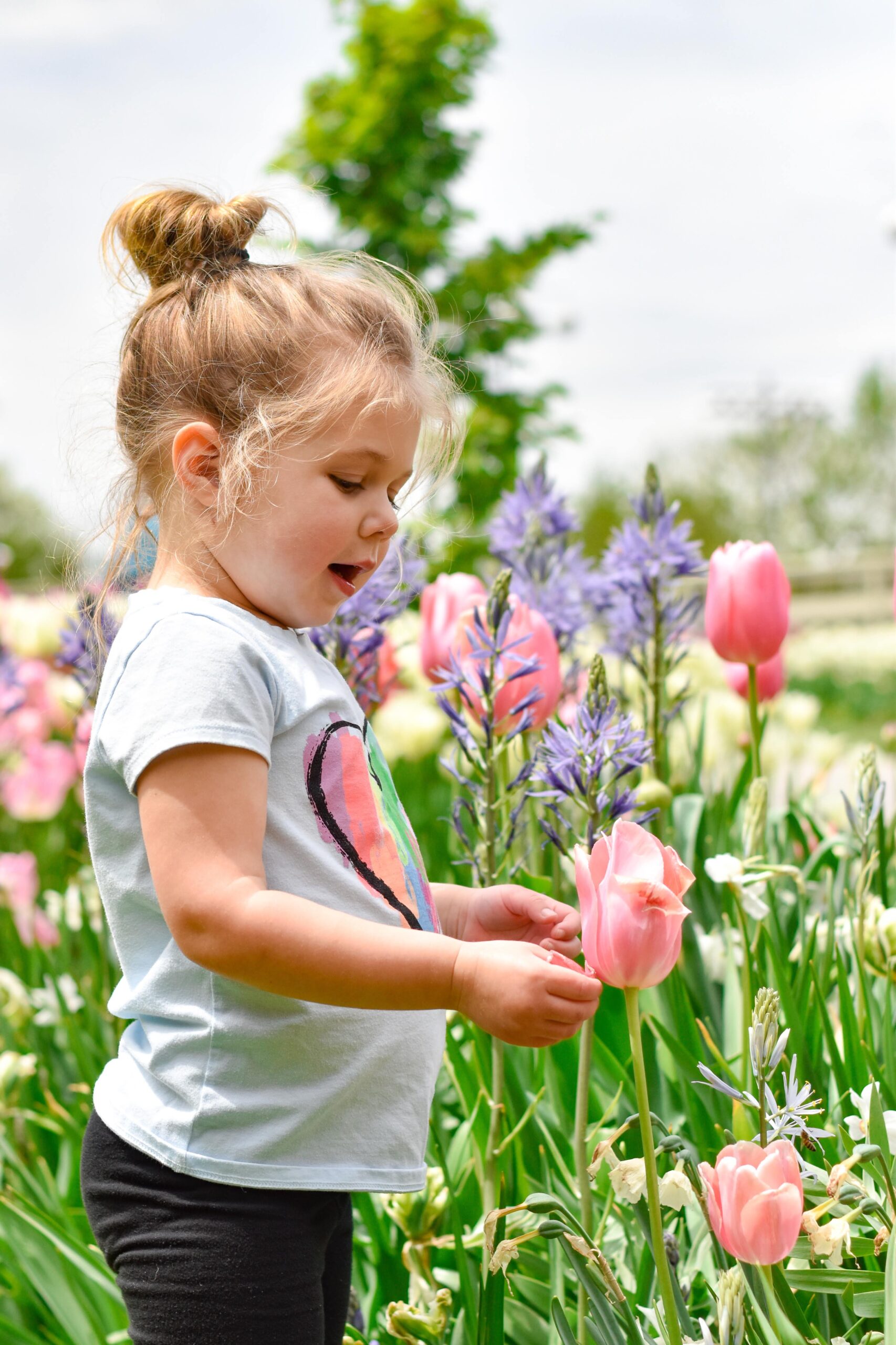 a young girl standing in a flower garden with colorful spring flowers as she reaches out to touch a pink tulip