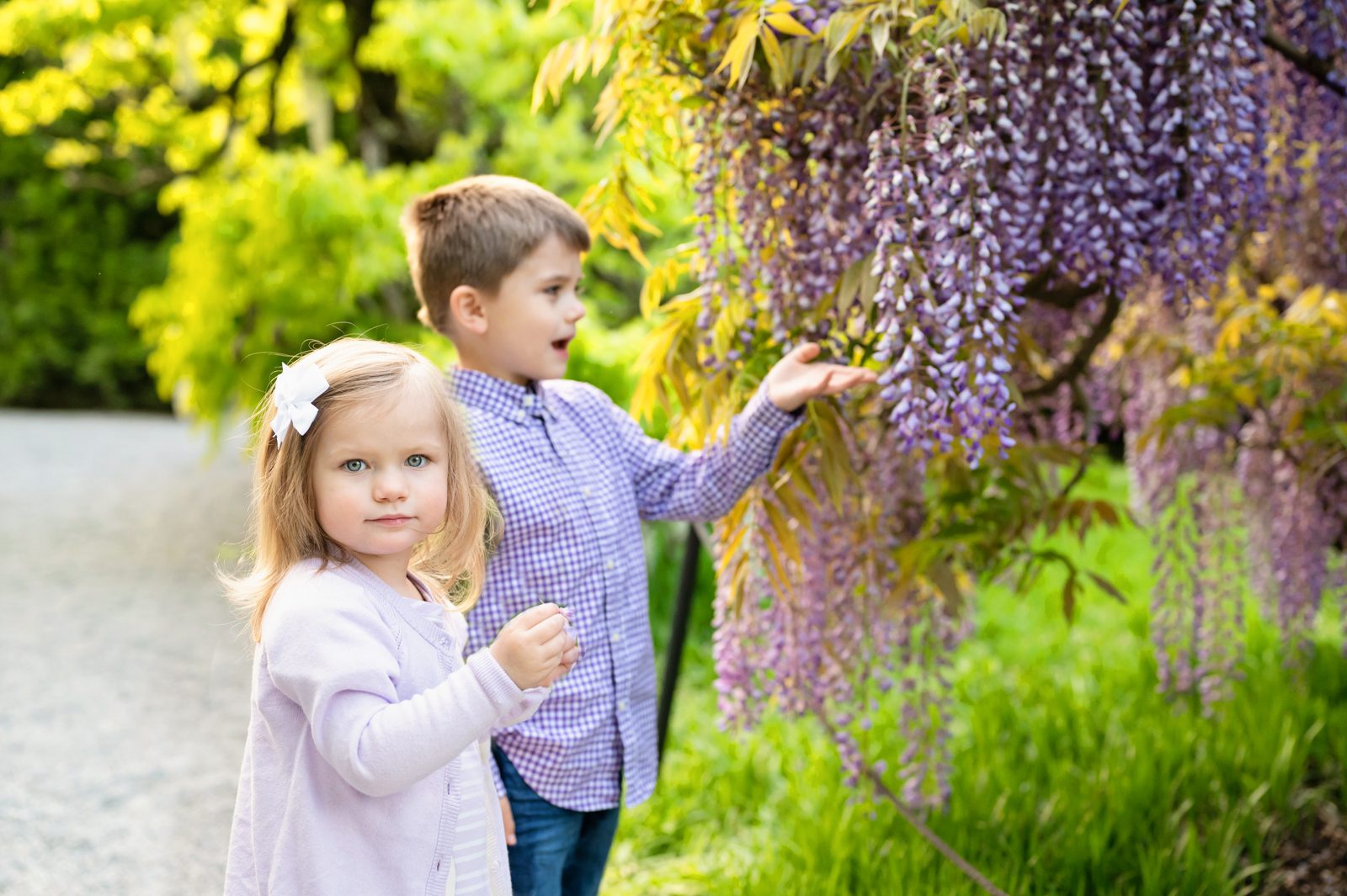 a young girl looking directly at the camera while her older brother stands behind her and reaches out to touch a wisteria flower in bloom