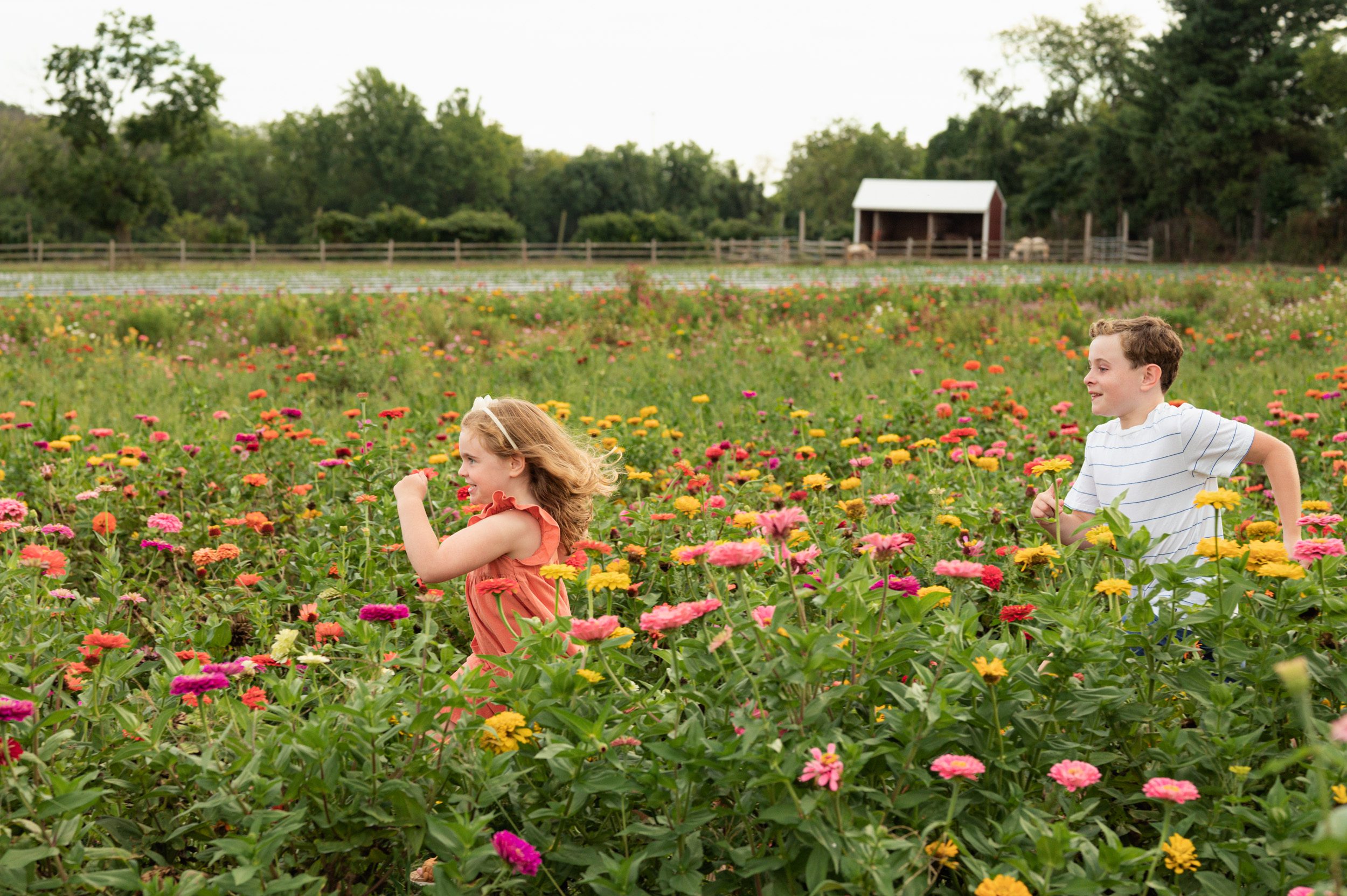 a young girl running through a field of spring and summer flowers as her older brother chases her and they both laugh