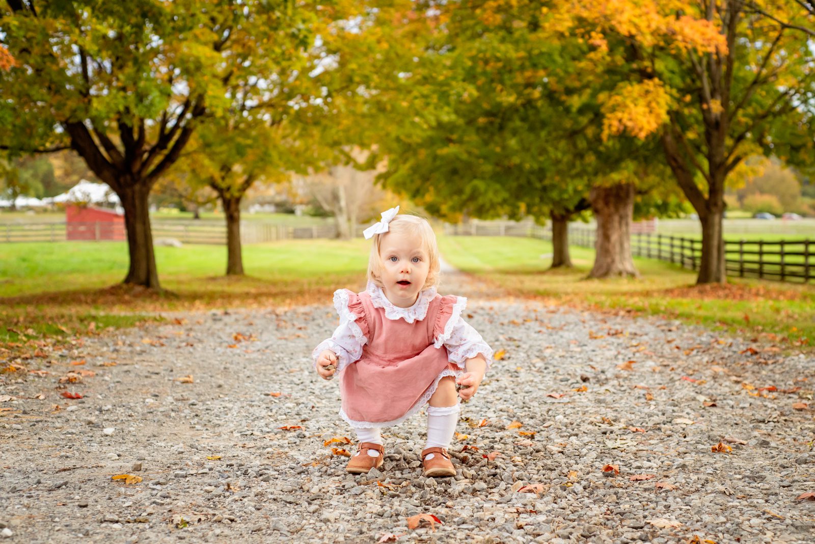 a young girl squatting down to pick up a rock and looking directly at the camera during a fall mini session