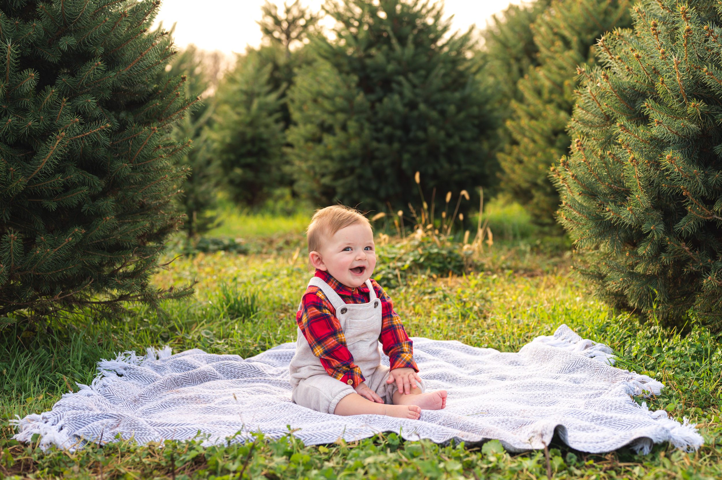 a little boy sitting on a blanket in a field of evergreen trees with a huge smile on his face during a fall mini session