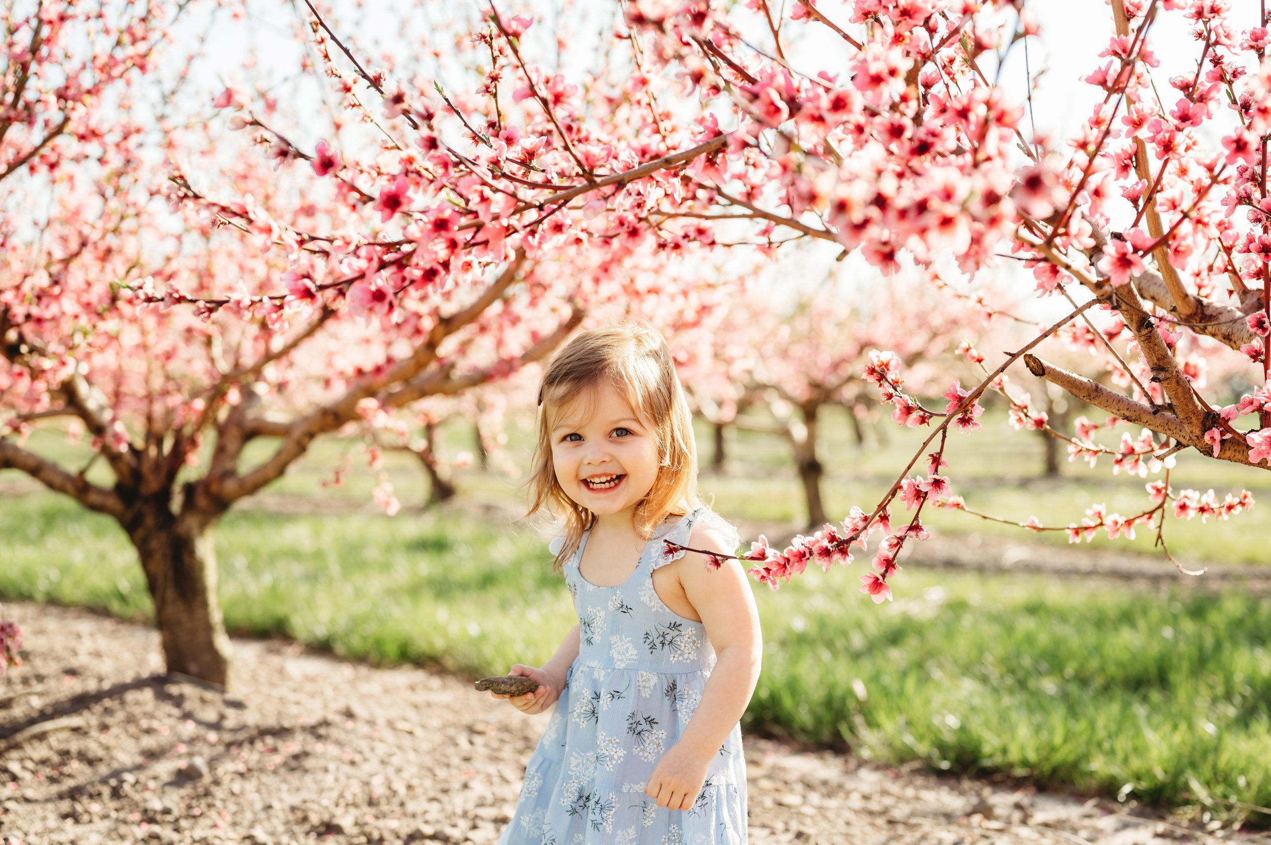 a young girl standing under a peach tree full of pink blossoms and smiling at the camera 