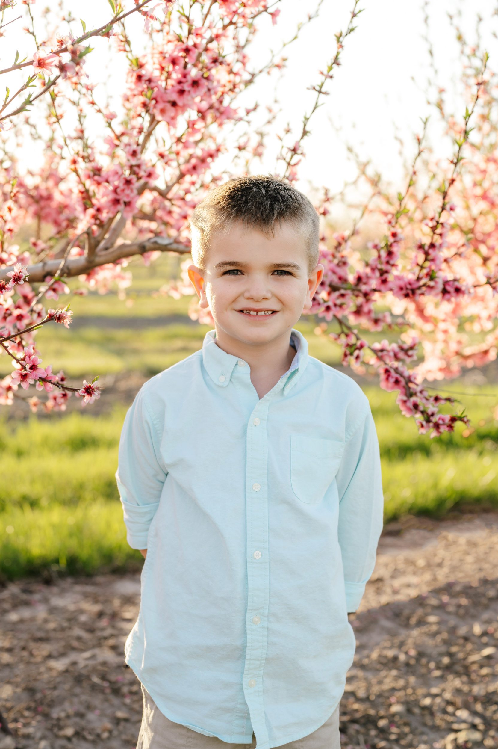 a young boy standing in an orchard of peach blossom trees in bloom and smiling at the camera