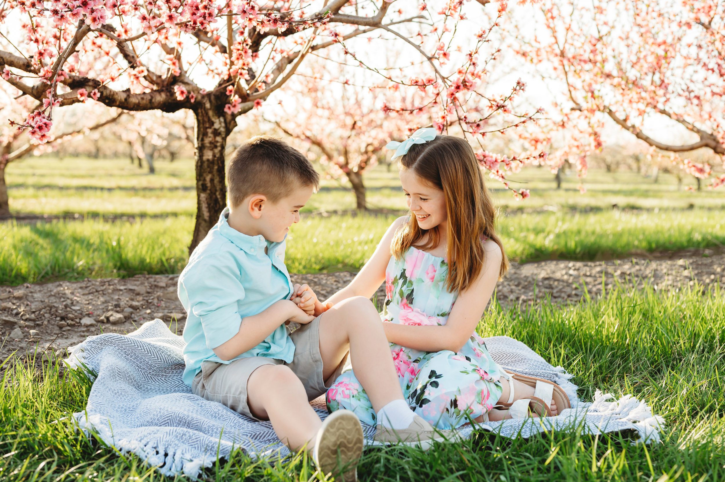 a brother and sister sitting on a blanket and tickling each other during a mini session in an orchard full of pink peach blossoms in bloom