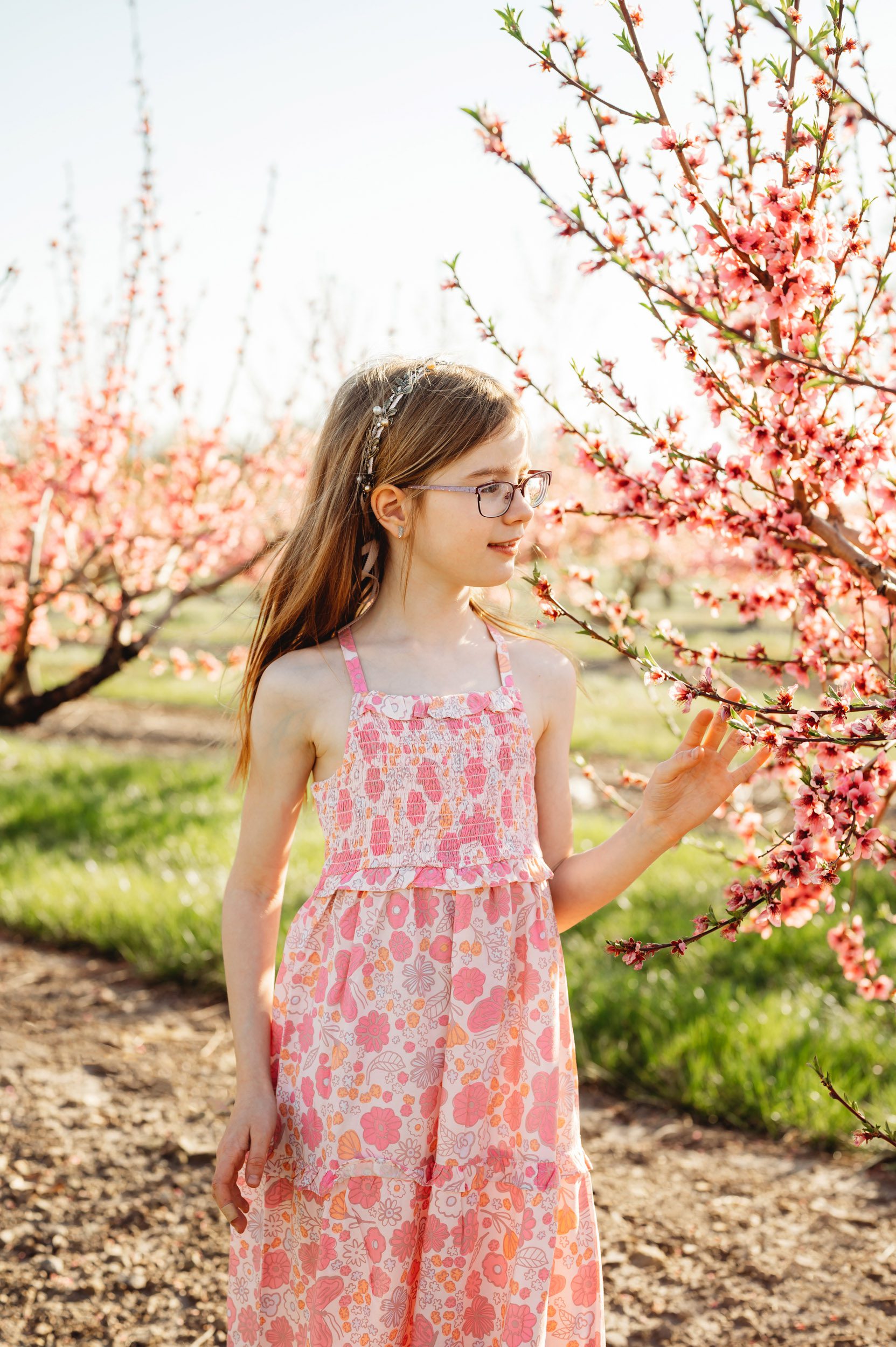 a young girl standing in an orchard full of peach trees in bloom and reaching out to touch a flower with her hand during a spring mini session