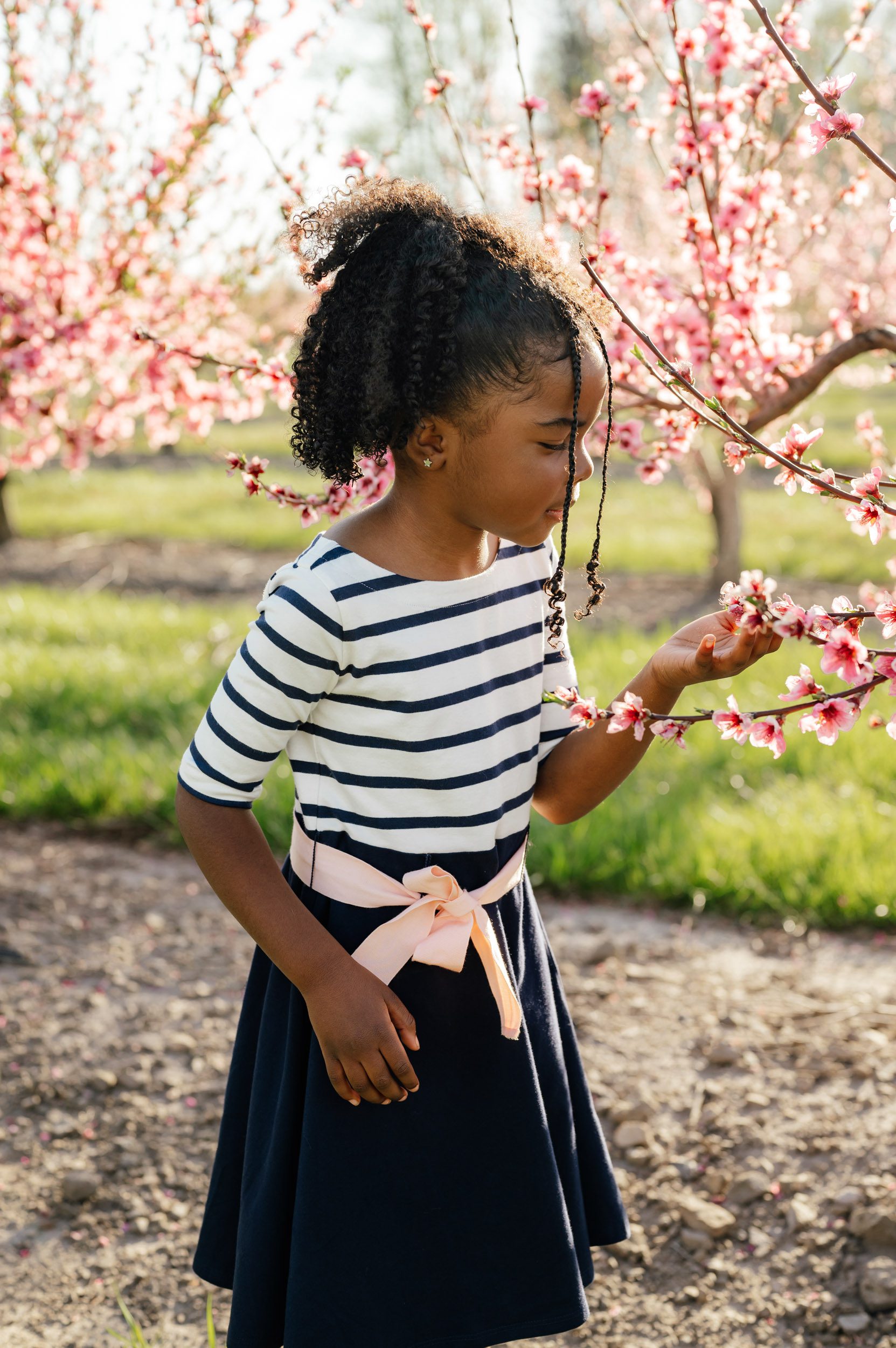 a young girl reaching out to touch the flowers on a peach tree during a spring mini session 