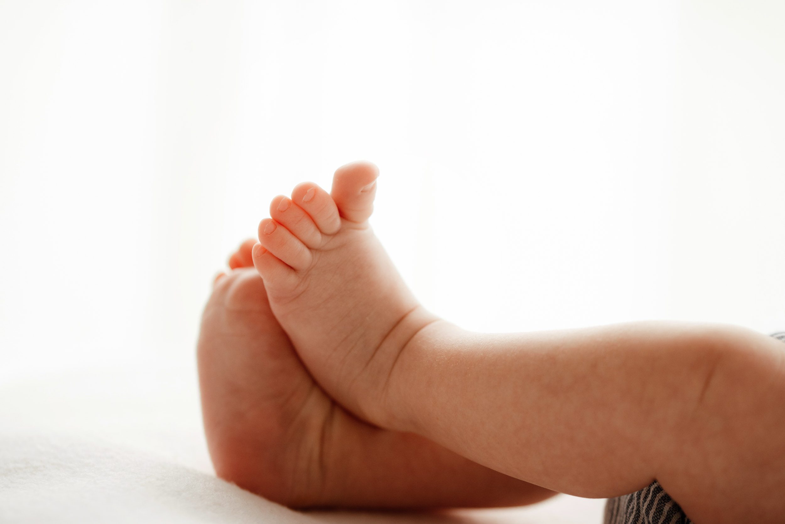 a backlit close up picture of a newborn's feet with a focus on his toes taken during a newborn photos session