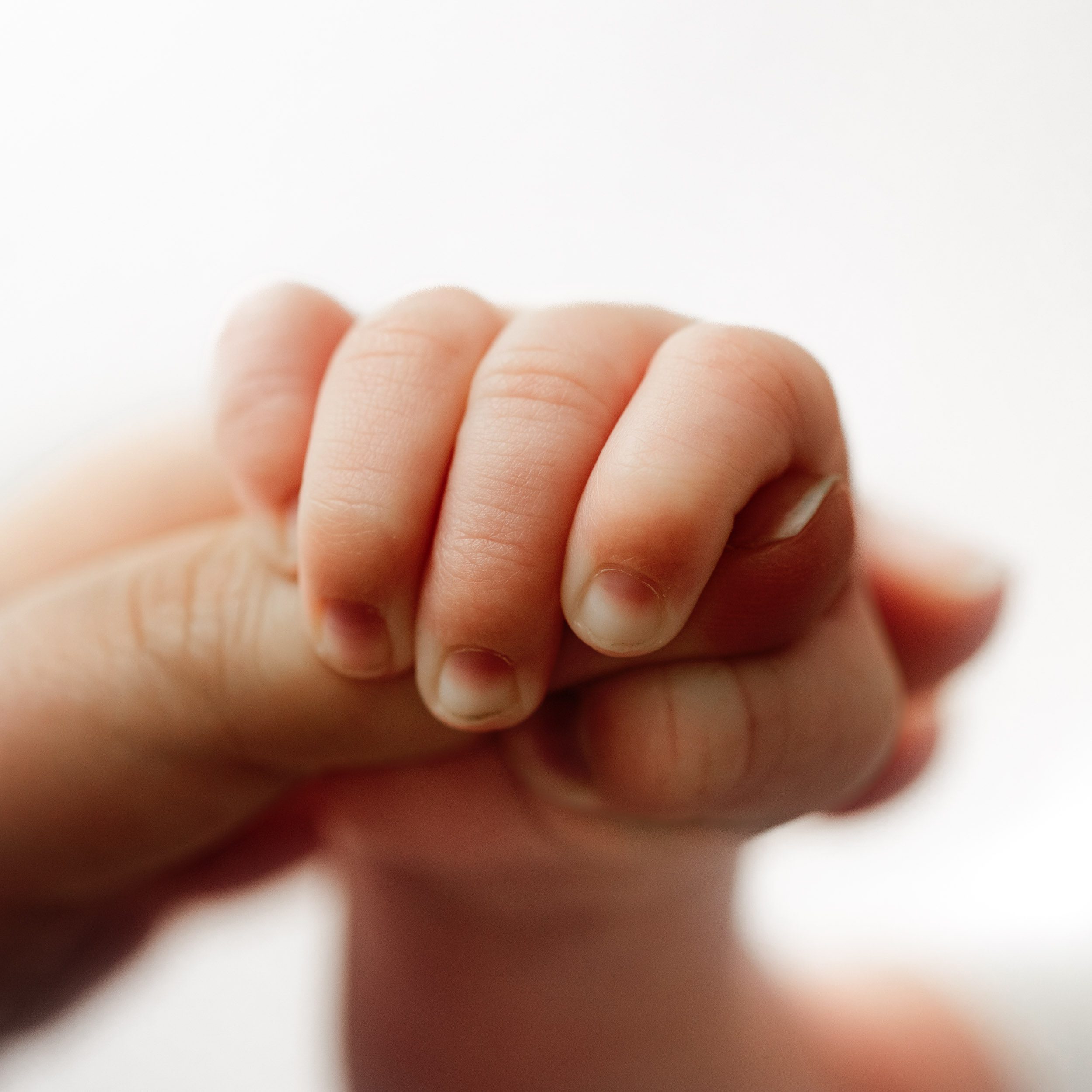 a close up macro picture of a newborn grabbing onto his mom's finger during a newborn photos session